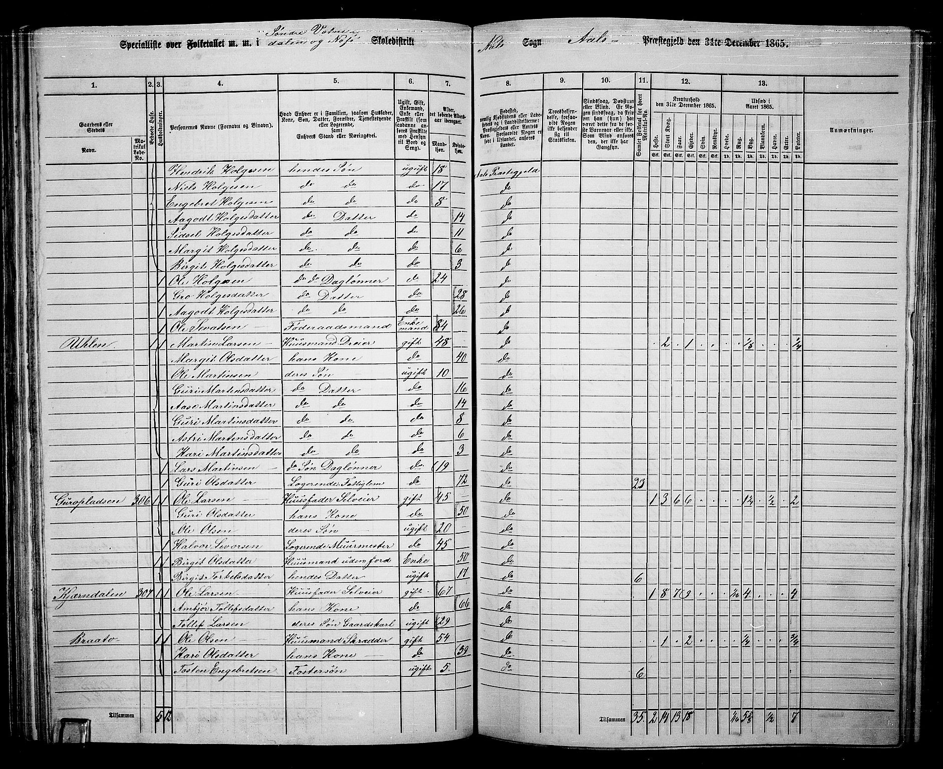 RA, 1865 census for Ål, 1865, p. 89