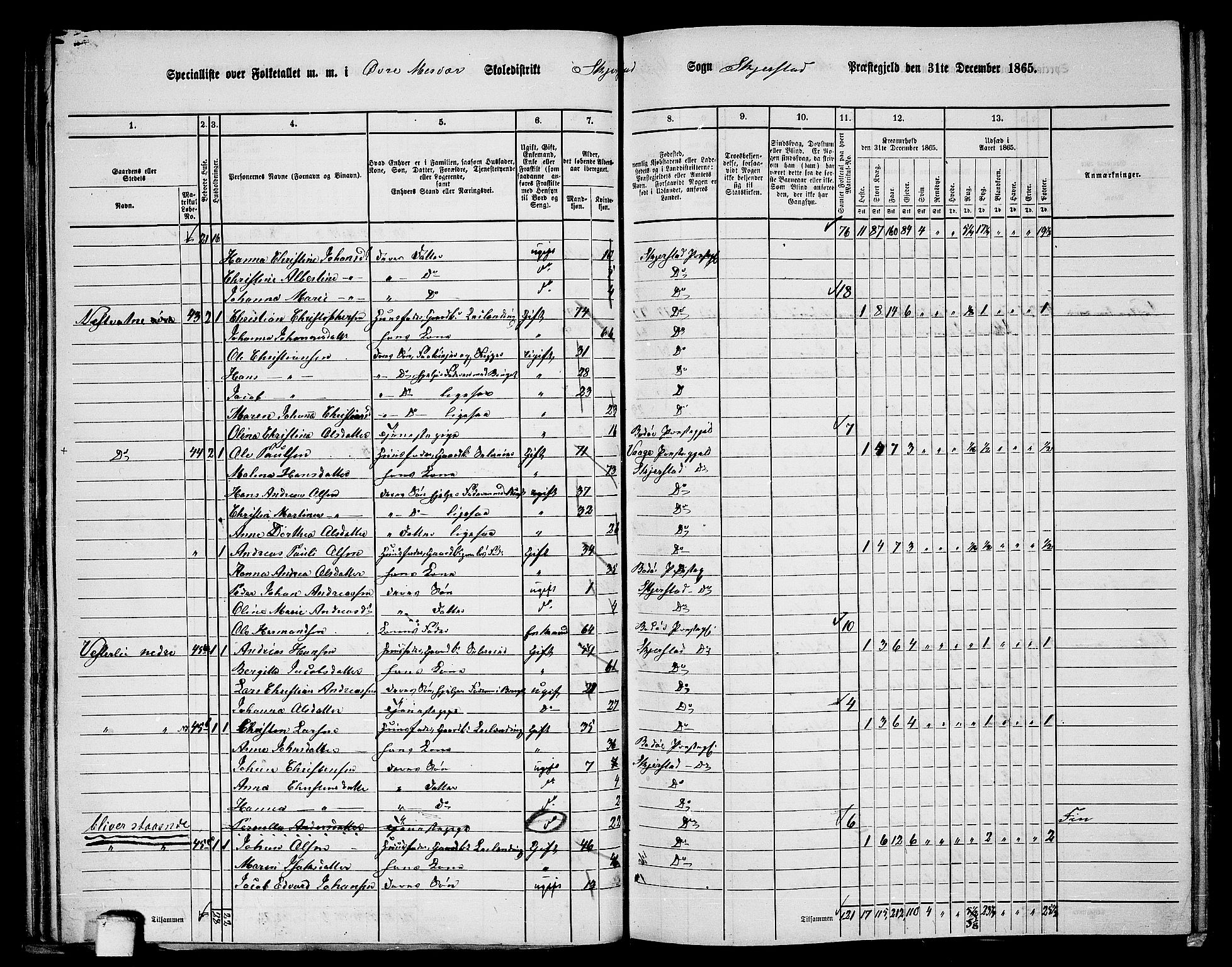 RA, 1865 census for Skjerstad, 1865, p. 58
