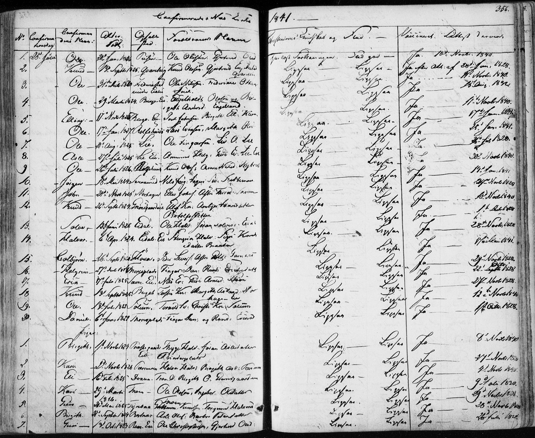Nes kirkebøker, SAKO/A-236/F/Fa/L0009: Parish register (official) no. 9, 1834-1863, p. 356