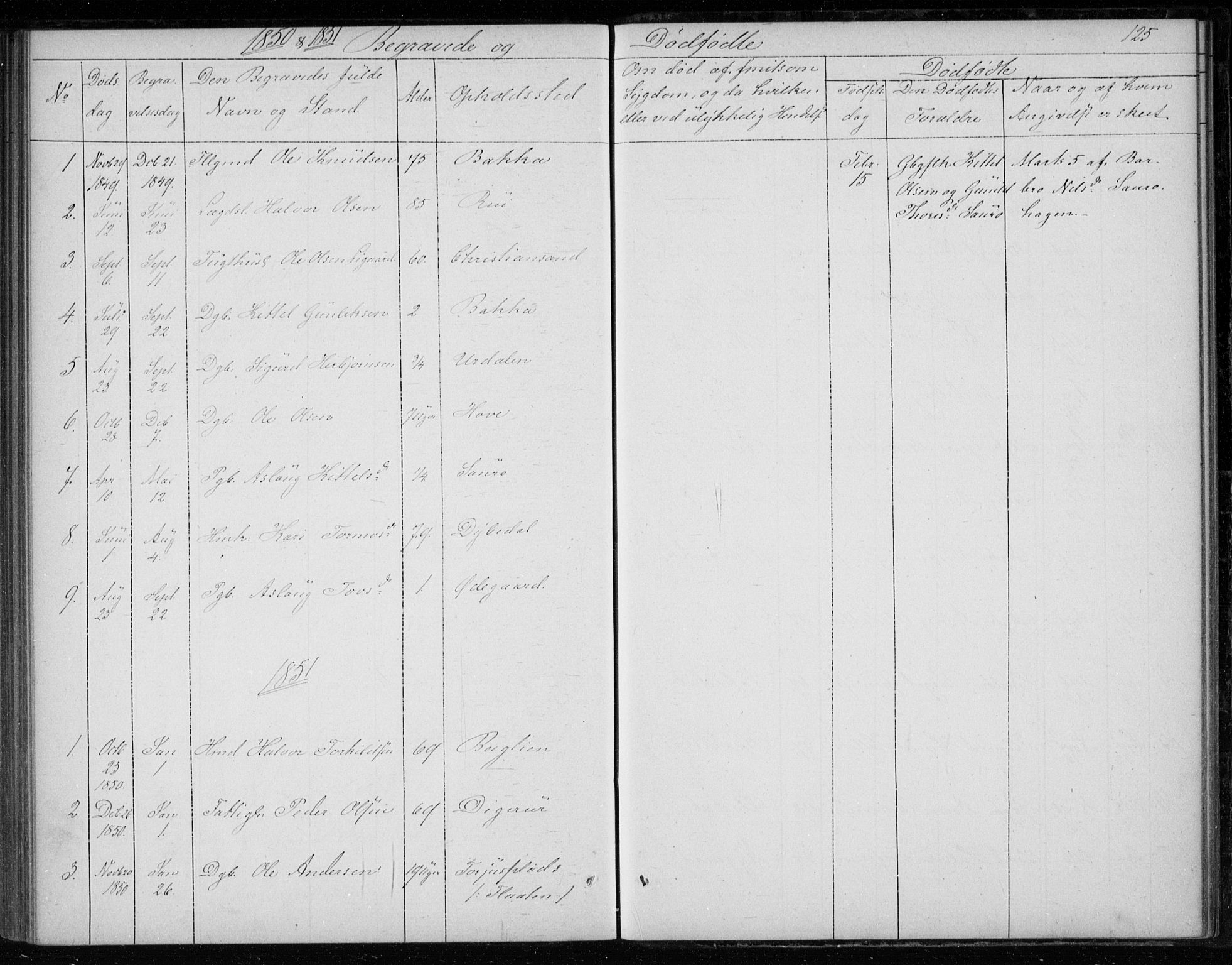 Gransherad kirkebøker, AV/SAKO-A-267/F/Fb/L0003: Parish register (official) no. II 3, 1844-1859, p. 125