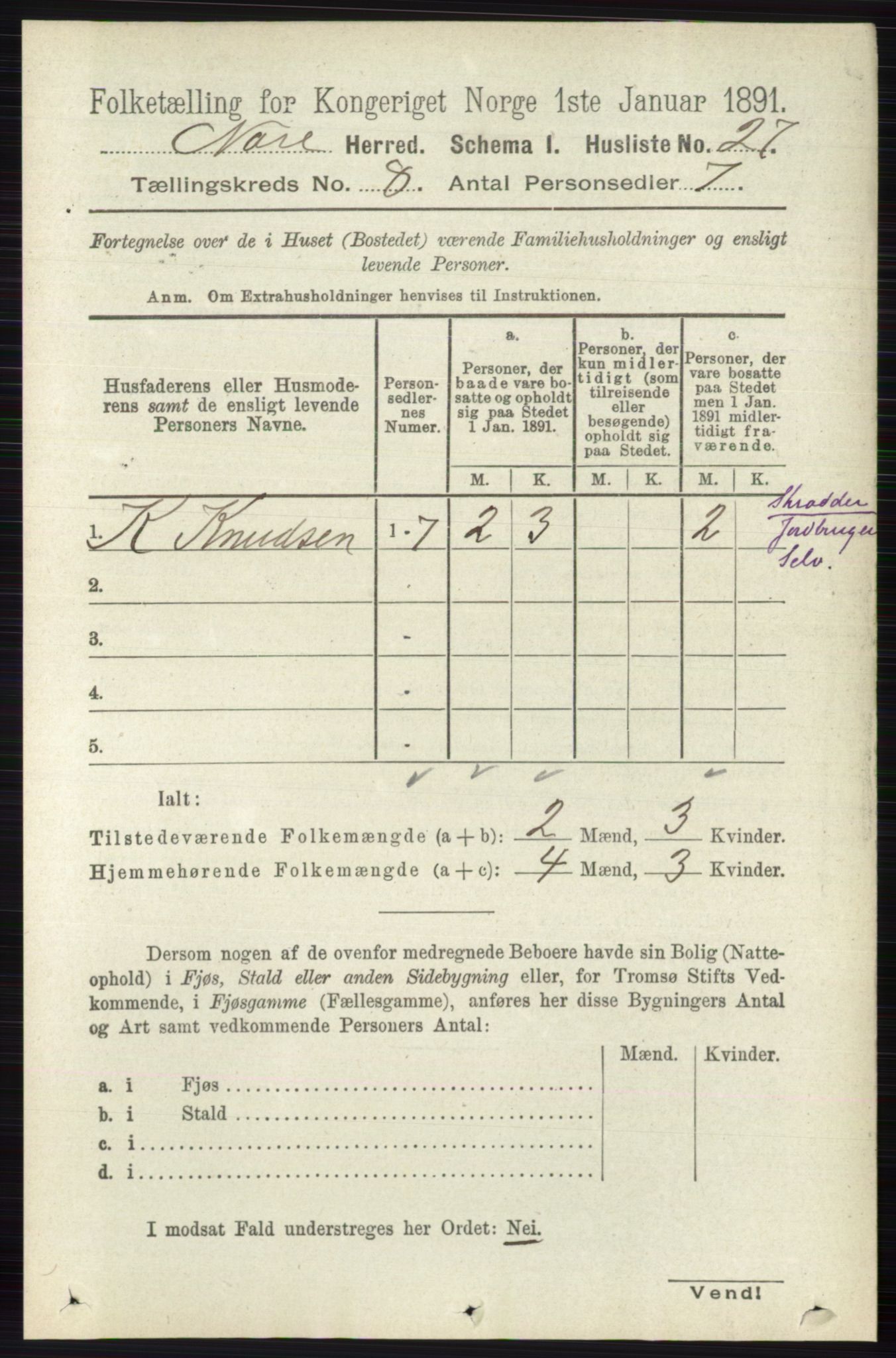 RA, 1891 census for 0633 Nore, 1891, p. 2817
