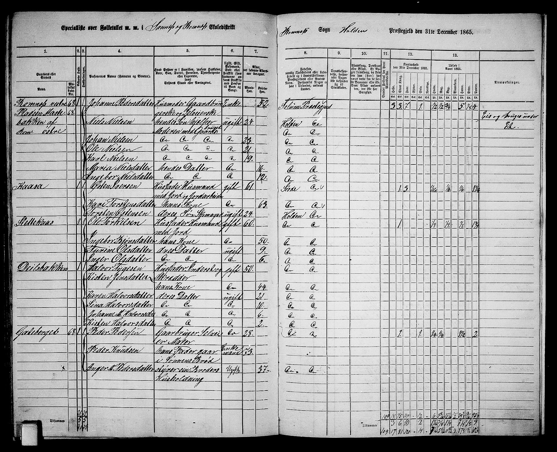 RA, 1865 census for Holla, 1865, p. 150