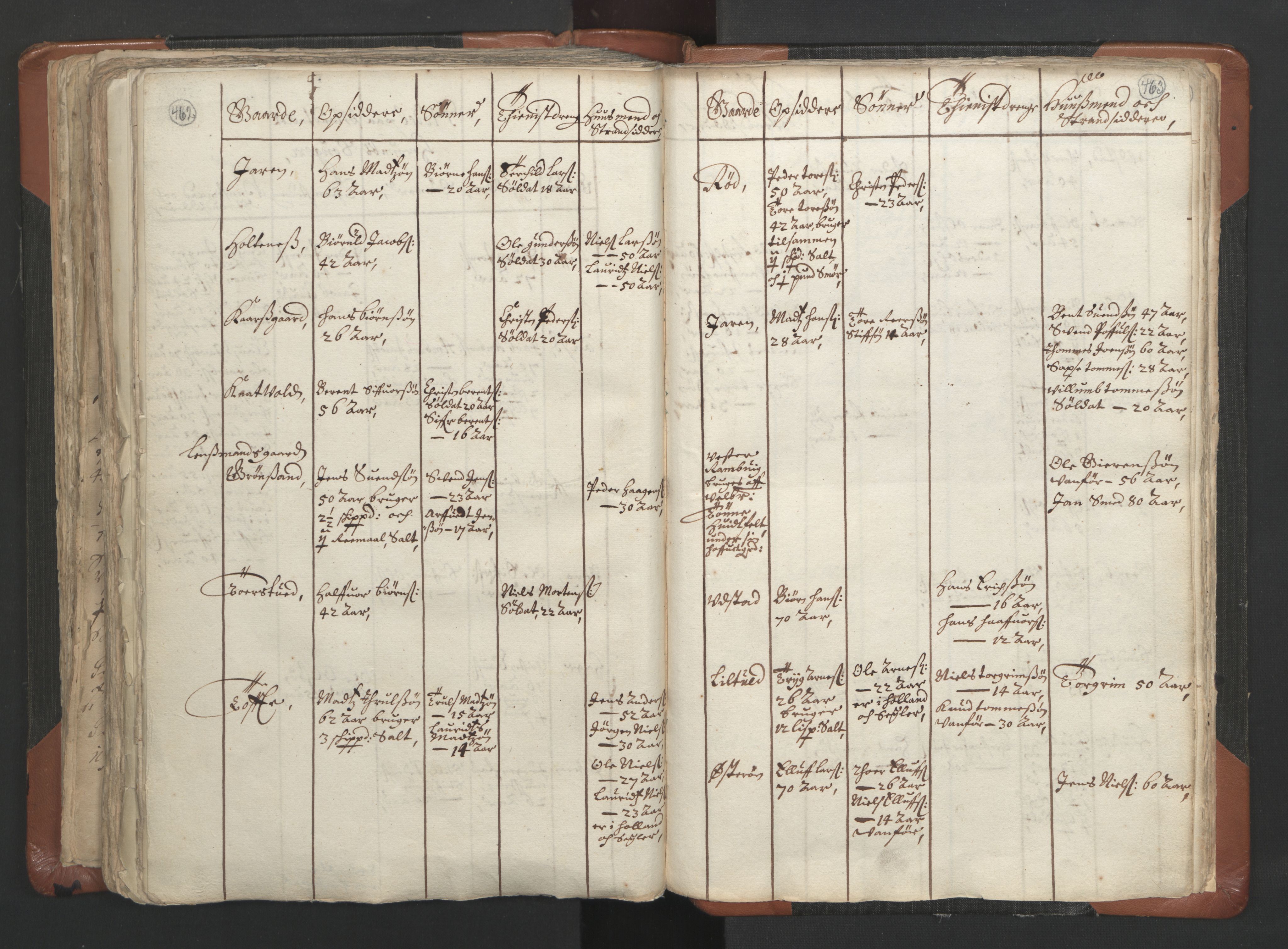 RA, Vicar's Census 1664-1666, no. 9: Bragernes deanery, 1664-1666, p. 462-463