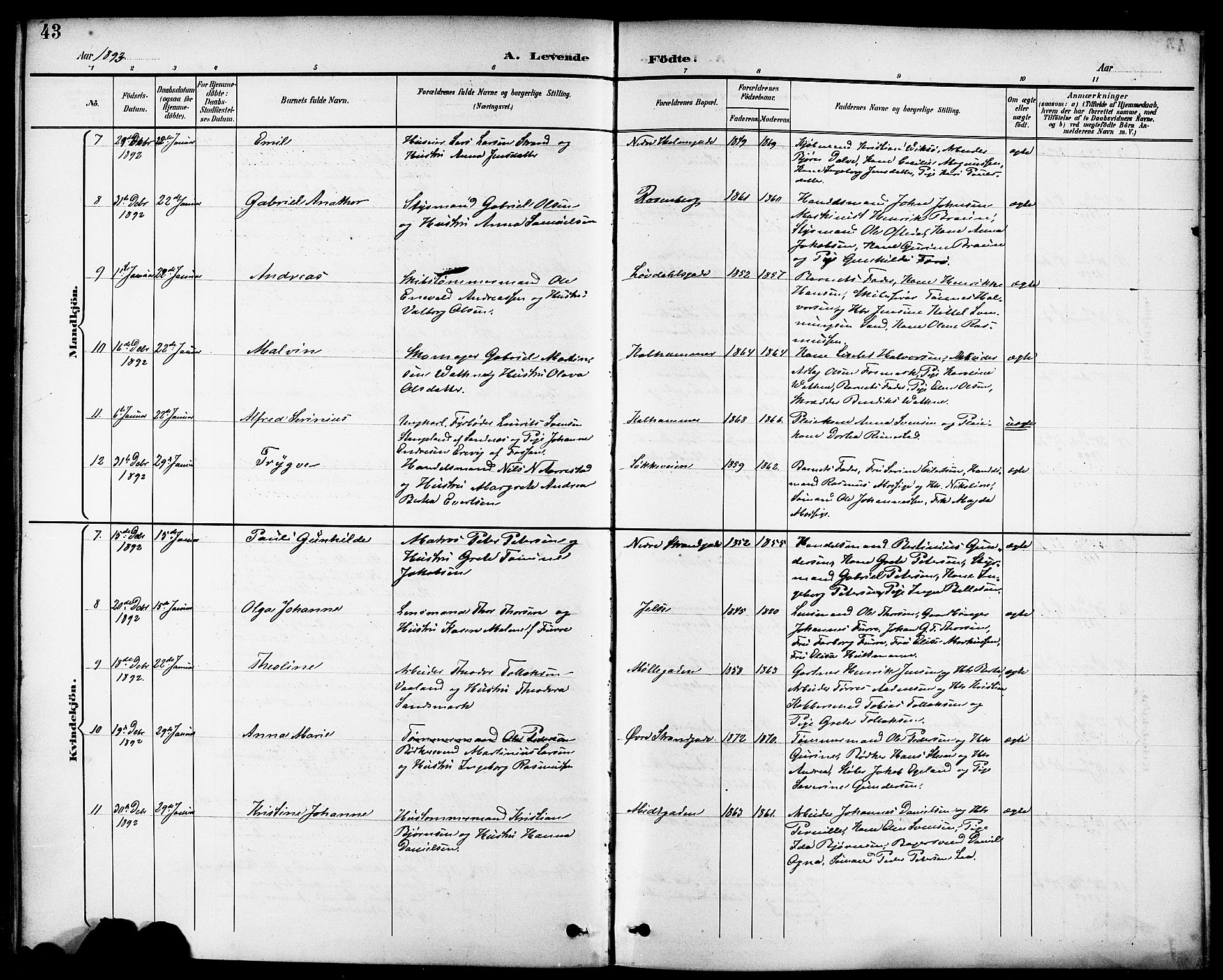 Domkirken sokneprestkontor, AV/SAST-A-101812/001/30/30BB/L0016: Parish register (copy) no. B 16, 1891-1902, p. 43