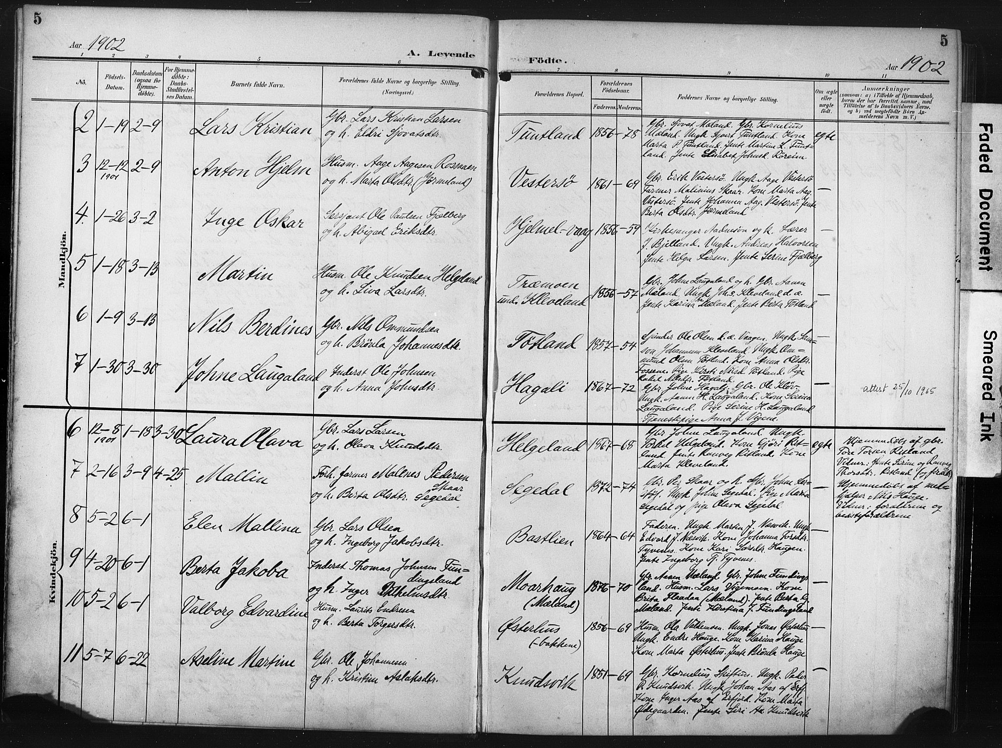 Hjelmeland sokneprestkontor, AV/SAST-A-101843/02/A/L0002: Parish register (official) no. A 17, 1901-1916, p. 5