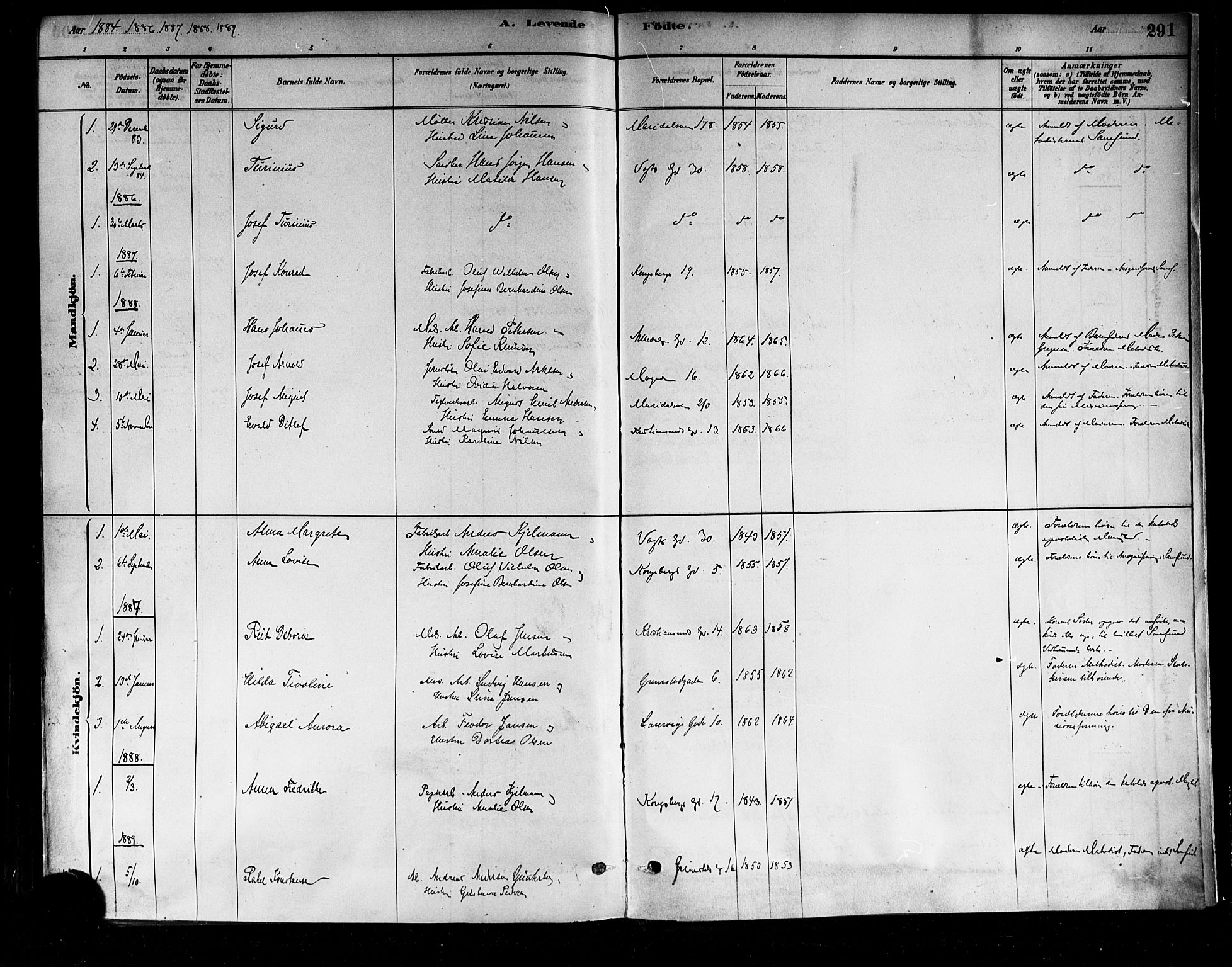 Sagene prestekontor Kirkebøker, SAO/A-10796/F/L0001: Parish register (official) no. 1, 1880-1893, p. 291