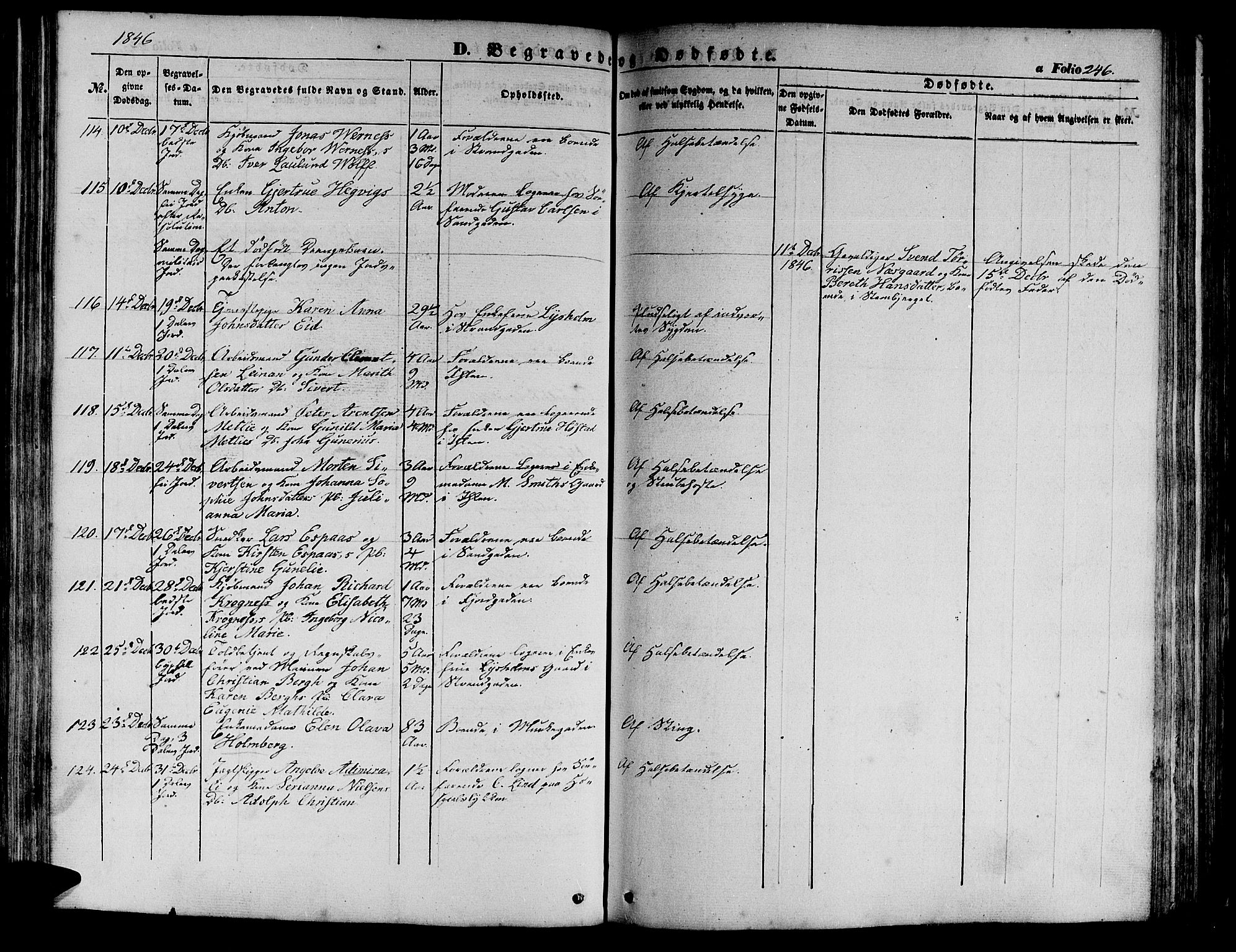 Ministerialprotokoller, klokkerbøker og fødselsregistre - Sør-Trøndelag, SAT/A-1456/602/L0137: Parish register (copy) no. 602C05, 1846-1856, p. 246