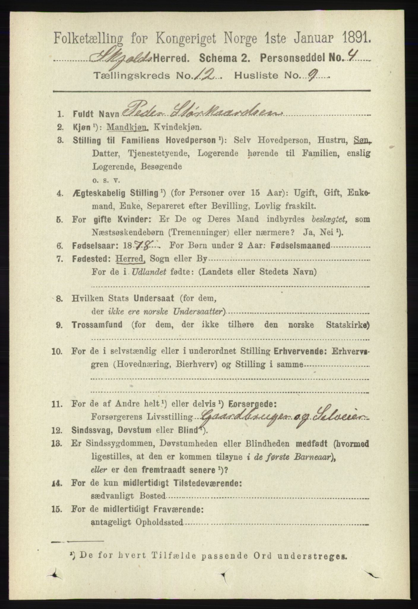 RA, 1891 census for 1154 Skjold, 1891, p. 2291