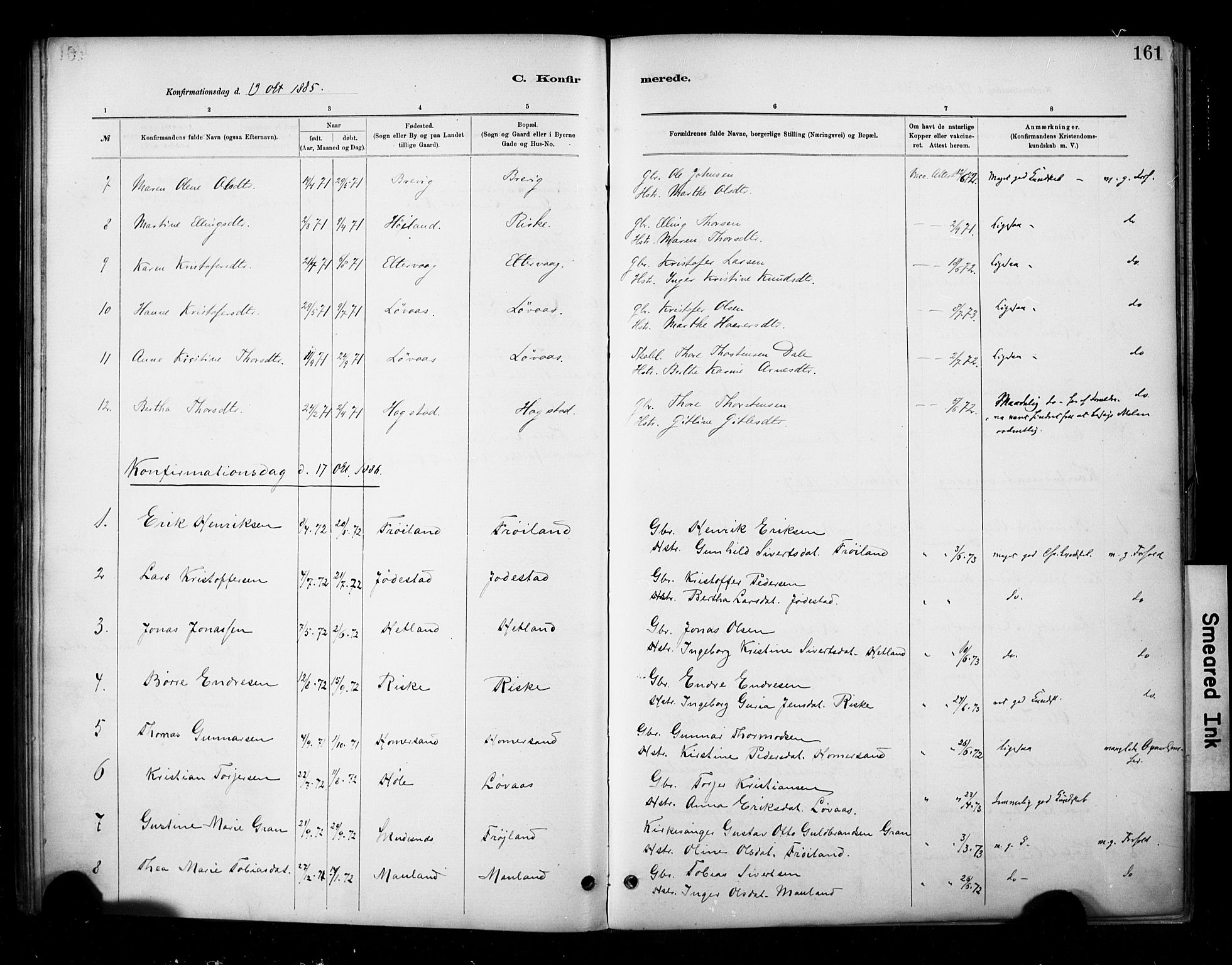 Hetland sokneprestkontor, SAST/A-101826/30/30BA/L0010: Parish register (official) no. A 10, 1882-1925, p. 161