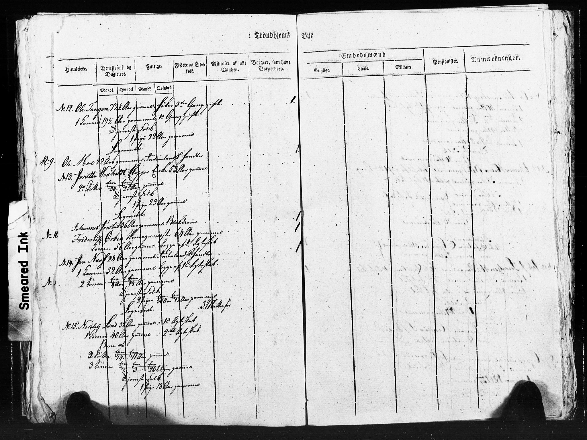 SAT, Census 1815 for Trondheim (transcript), 1815, p. 343