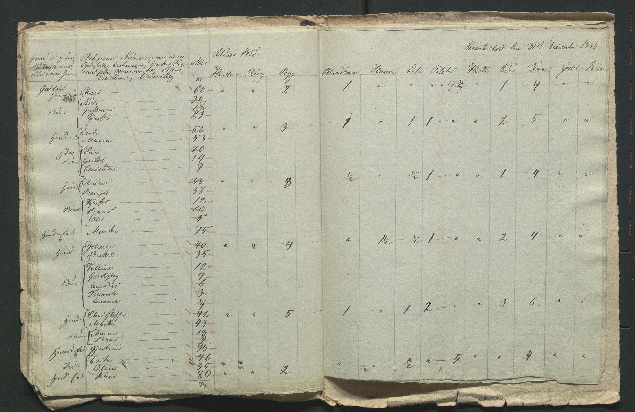 SAH, 1855 Census for Jevnaker parish, 1855, p. 143