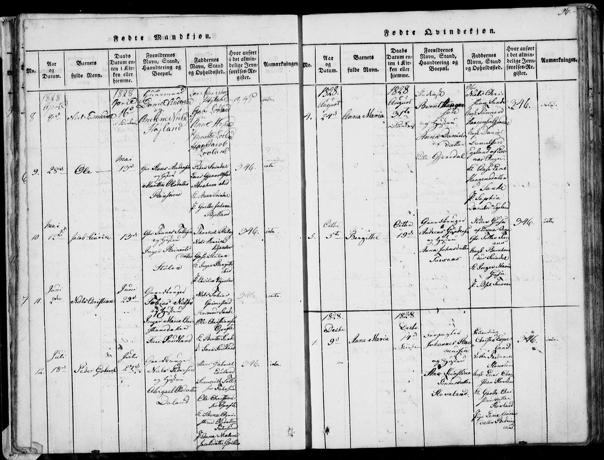 Herad sokneprestkontor, AV/SAK-1111-0018/F/Fa/Faa/L0003: Parish register (official) no. A 3, 1816-1844, p. 36