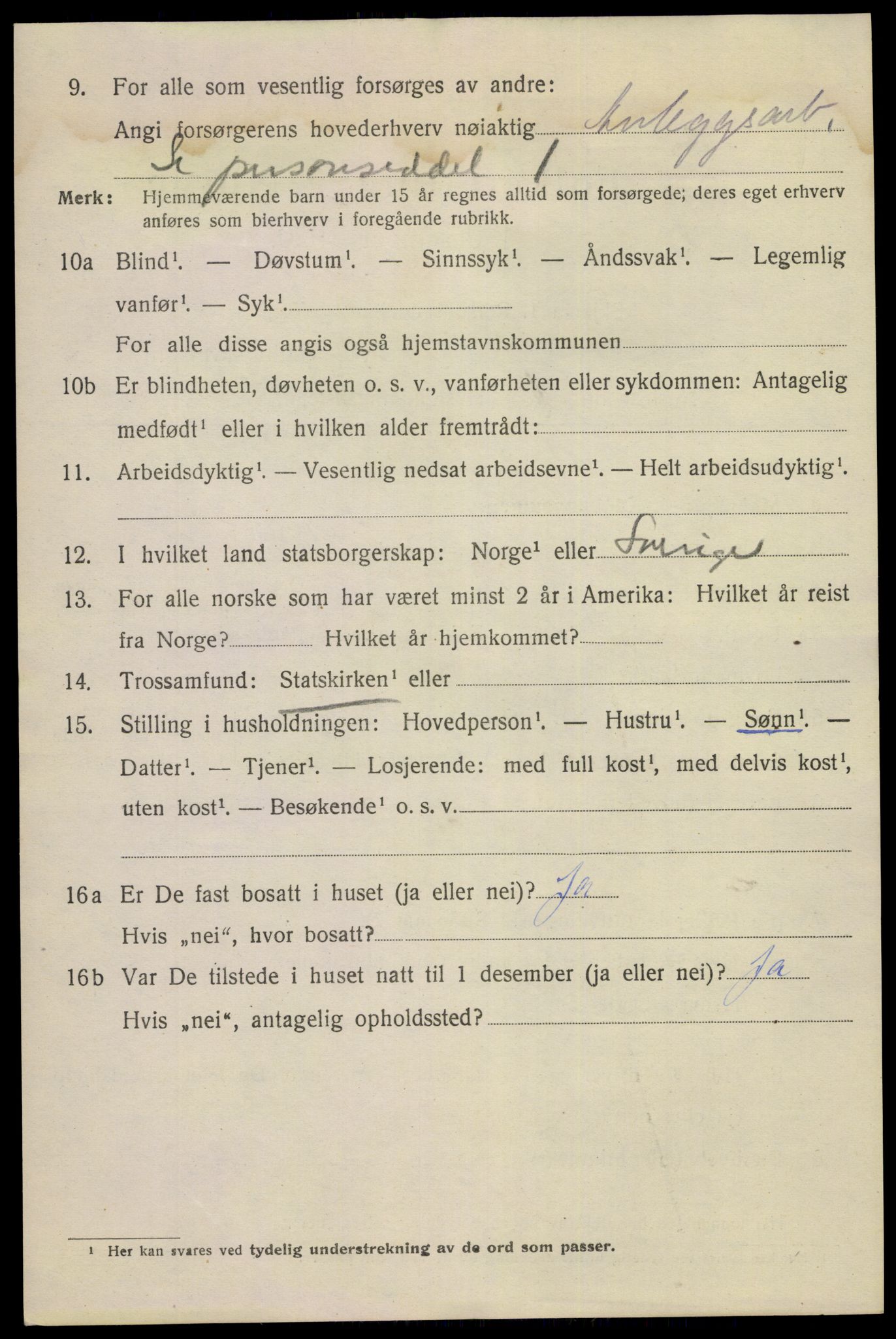 SAKO, 1920 census for Notodden, 1920, p. 11673