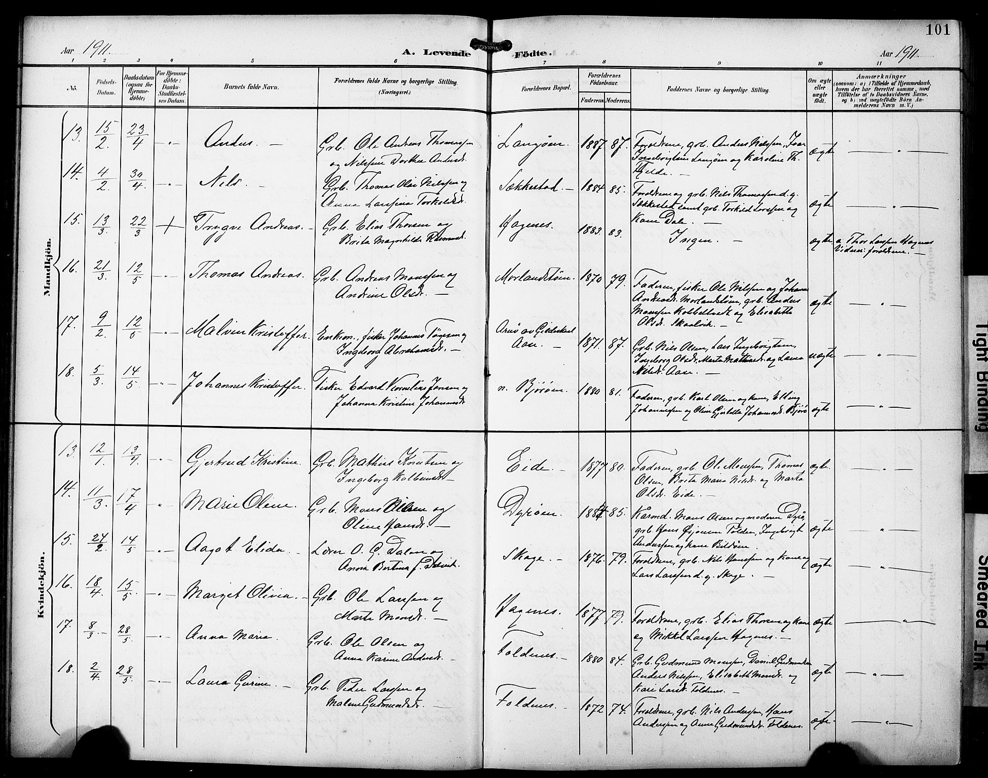 Fjell sokneprestembete, SAB/A-75301/H/Hab: Parish register (copy) no. A 5, 1899-1918, p. 101