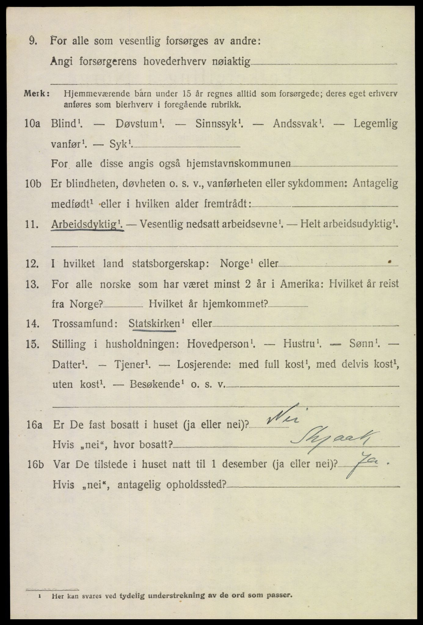 SAH, 1920 census for Skjåk, 1920, p. 5171