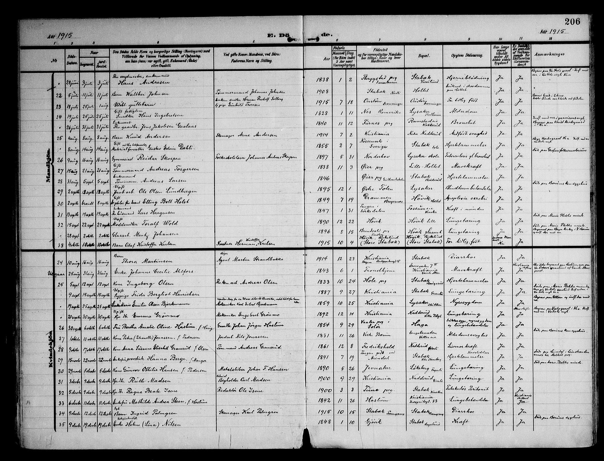 Østre Bærum prestekontor Kirkebøker, AV/SAO-A-10887/F/Fa/L0001: Parish register (official) no. 1, 1905-1924, p. 206