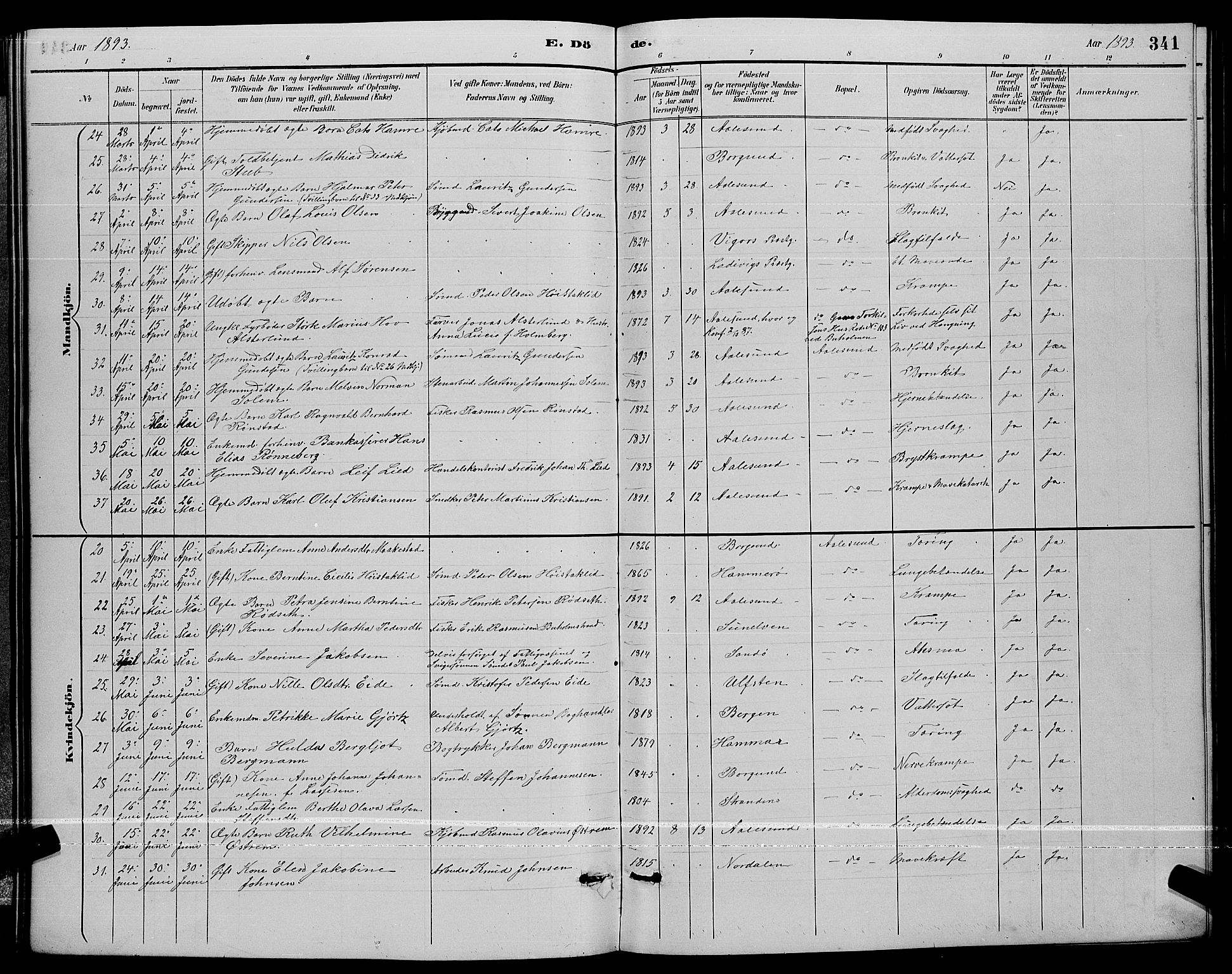 Ministerialprotokoller, klokkerbøker og fødselsregistre - Møre og Romsdal, AV/SAT-A-1454/529/L0467: Parish register (copy) no. 529C04, 1889-1897, p. 341