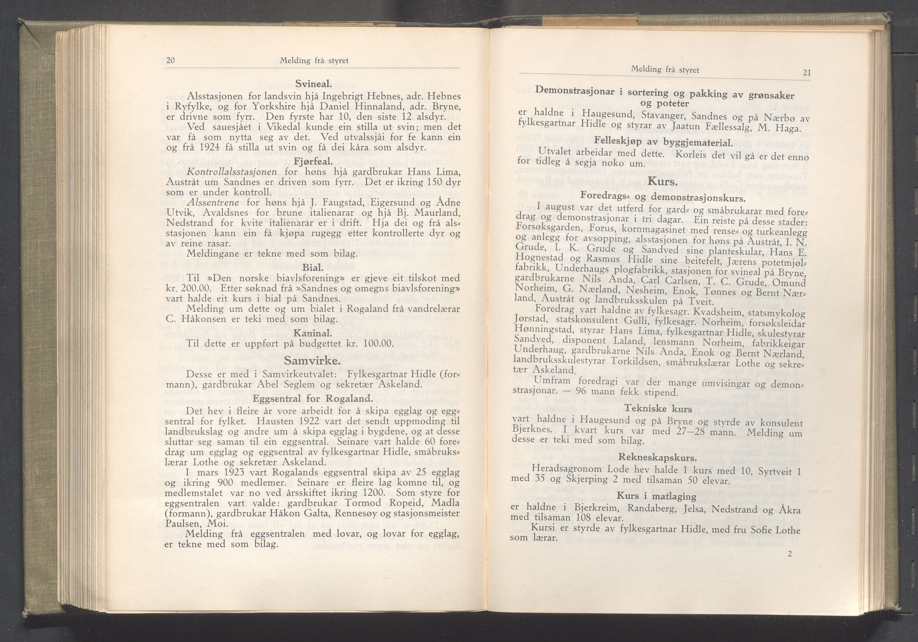 Rogaland fylkeskommune - Fylkesrådmannen , IKAR/A-900/A/Aa/Aaa/L0043: Møtebok , 1924, p. 20-21