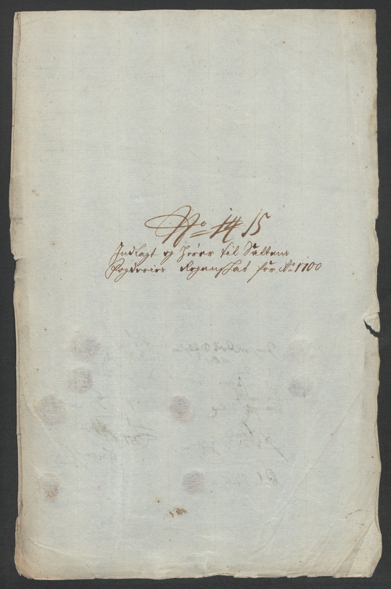 Rentekammeret inntil 1814, Reviderte regnskaper, Fogderegnskap, RA/EA-4092/R66/L4579: Fogderegnskap Salten, 1697-1700, p. 417