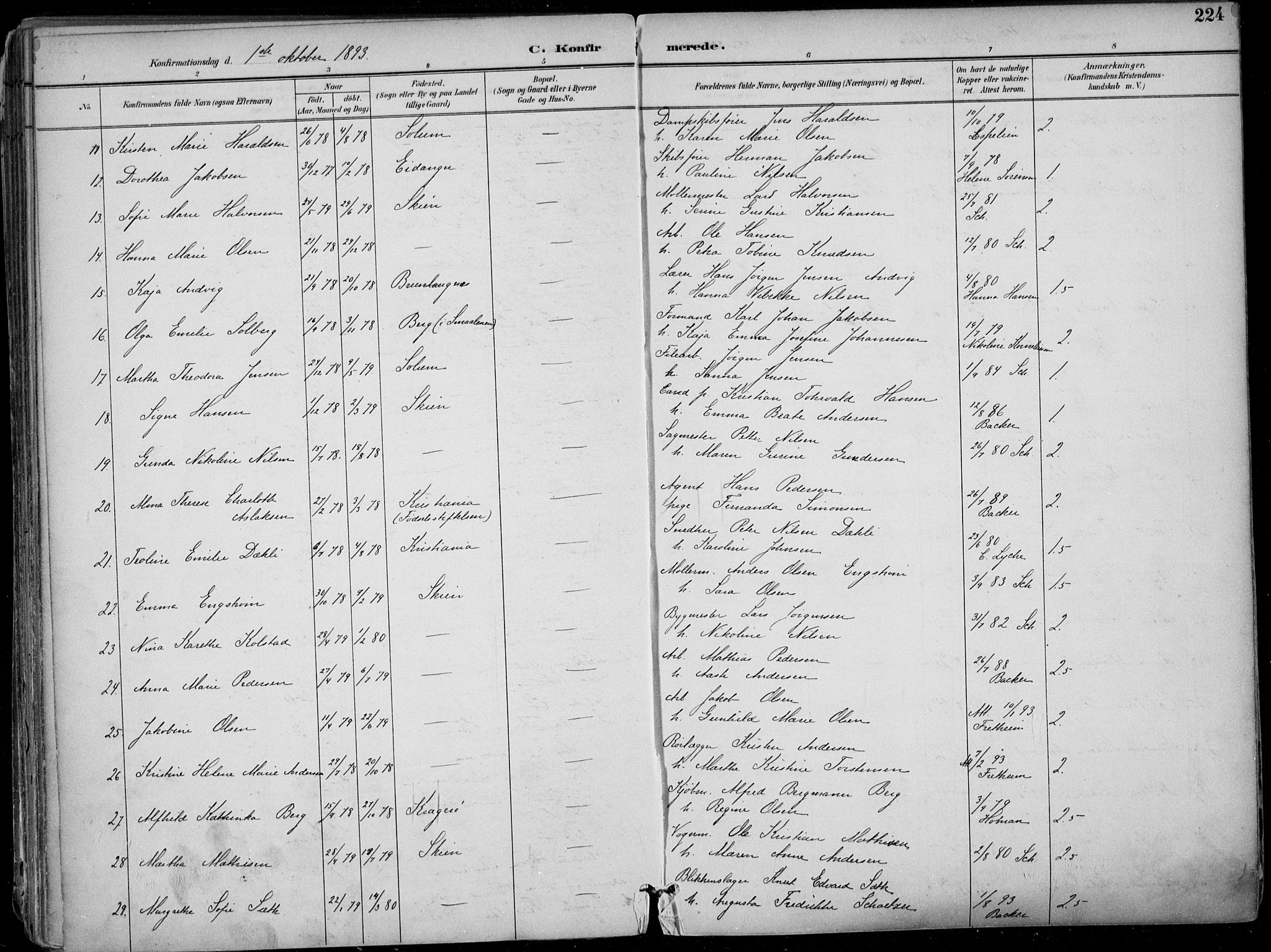Skien kirkebøker, AV/SAKO-A-302/F/Fa/L0010: Parish register (official) no. 10, 1891-1899, p. 224