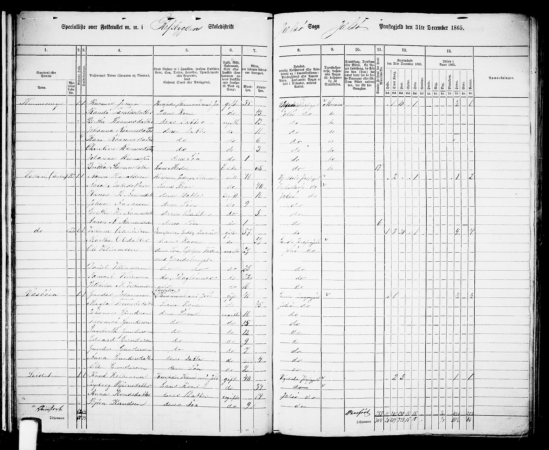 RA, 1865 census for Jelsa, 1865, p. 19
