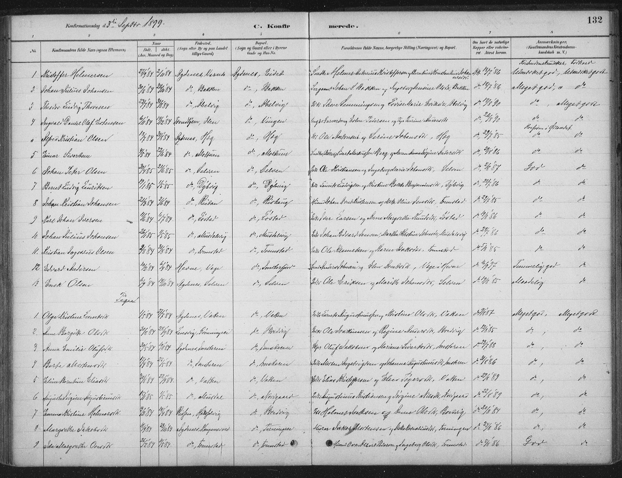 Ministerialprotokoller, klokkerbøker og fødselsregistre - Sør-Trøndelag, SAT/A-1456/662/L0755: Parish register (official) no. 662A01, 1879-1905, p. 132