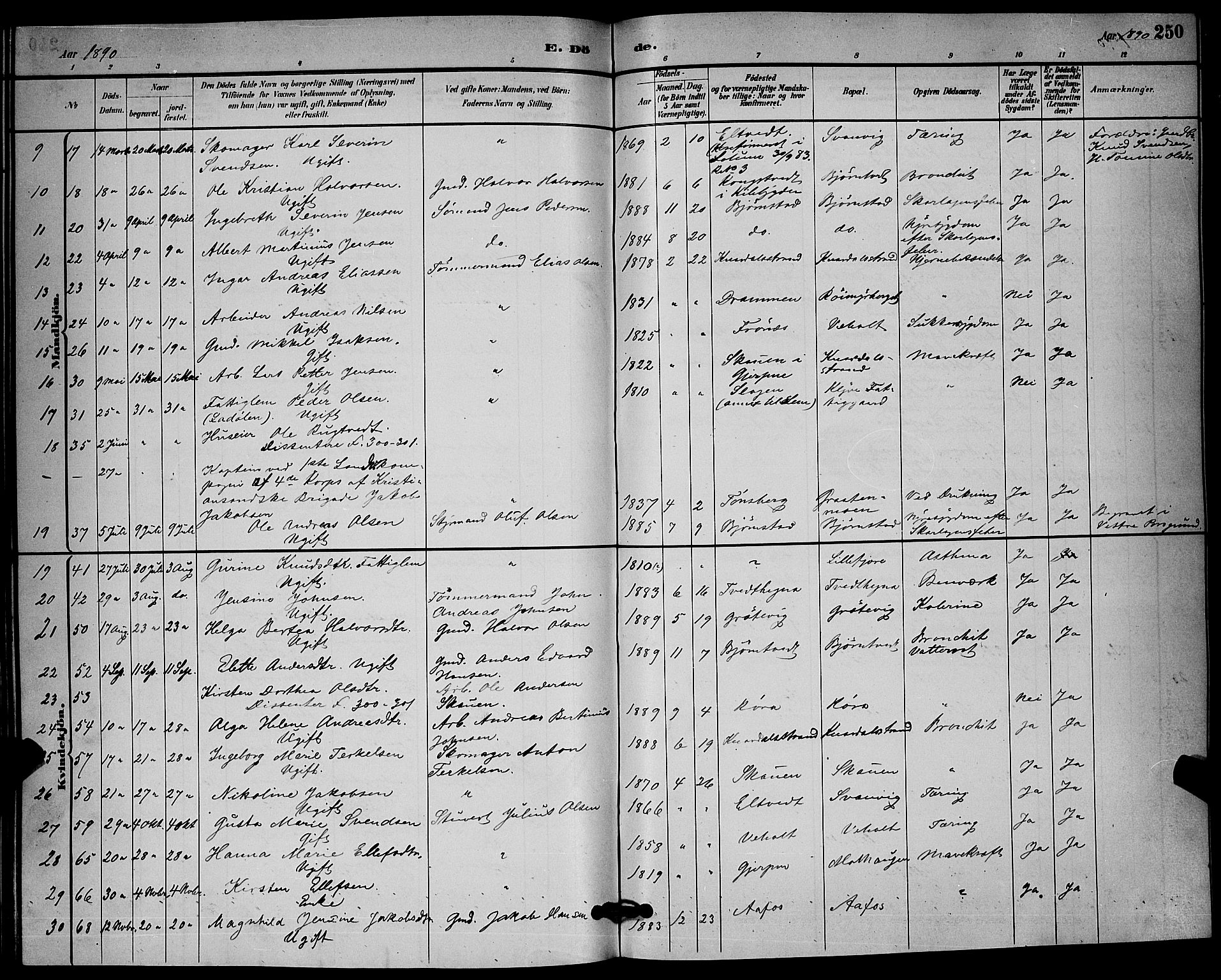 Solum kirkebøker, SAKO/A-306/G/Ga/L0007: Parish register (copy) no. I 7, 1884-1898, p. 250