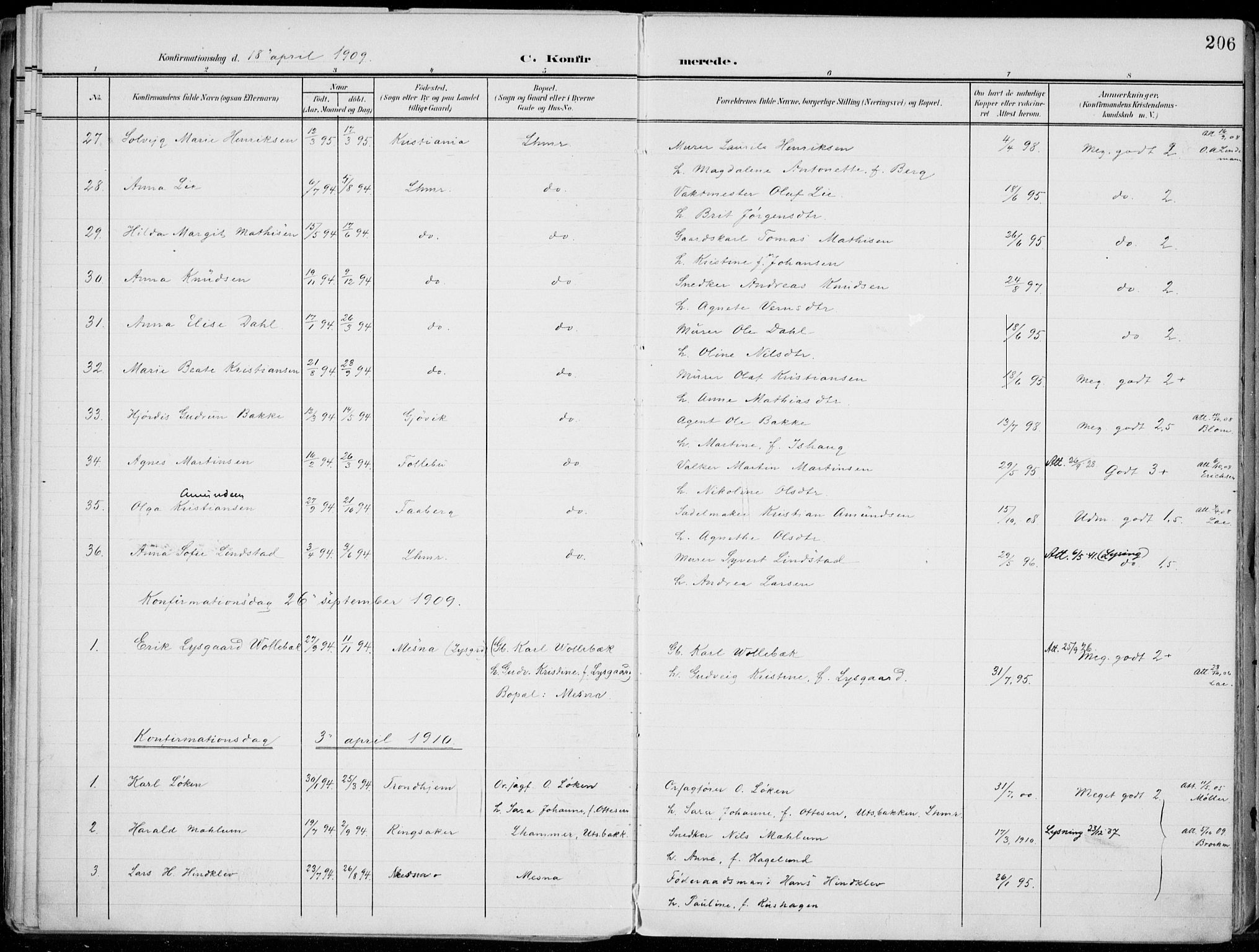 Lillehammer prestekontor, AV/SAH-PREST-088/H/Ha/Haa/L0001: Parish register (official) no. 1, 1901-1916, p. 206