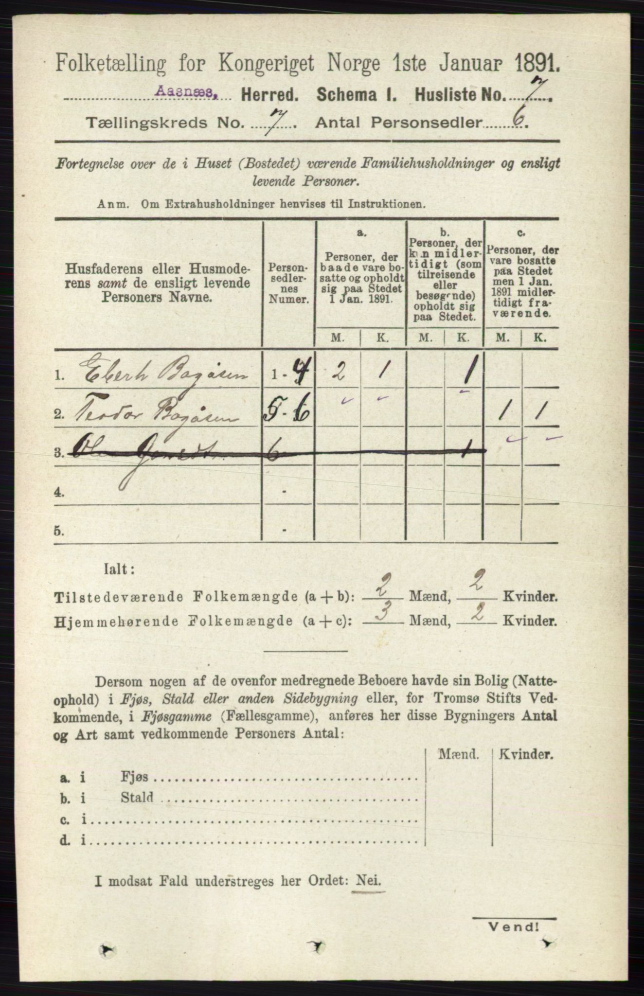 RA, 1891 census for 0425 Åsnes, 1891, p. 3242