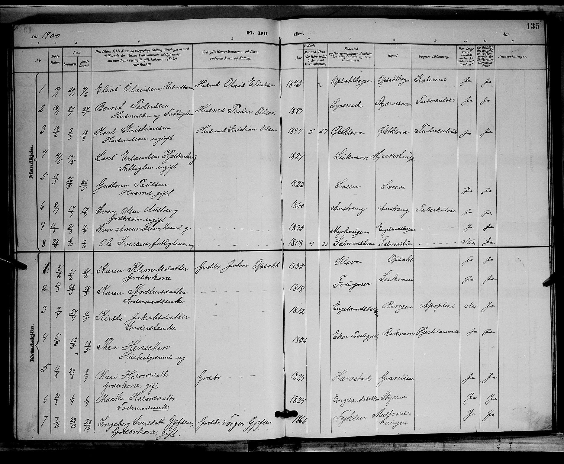 Østre Gausdal prestekontor, AV/SAH-PREST-092/H/Ha/Hab/L0002: Parish register (copy) no. 2, 1894-1904, p. 135