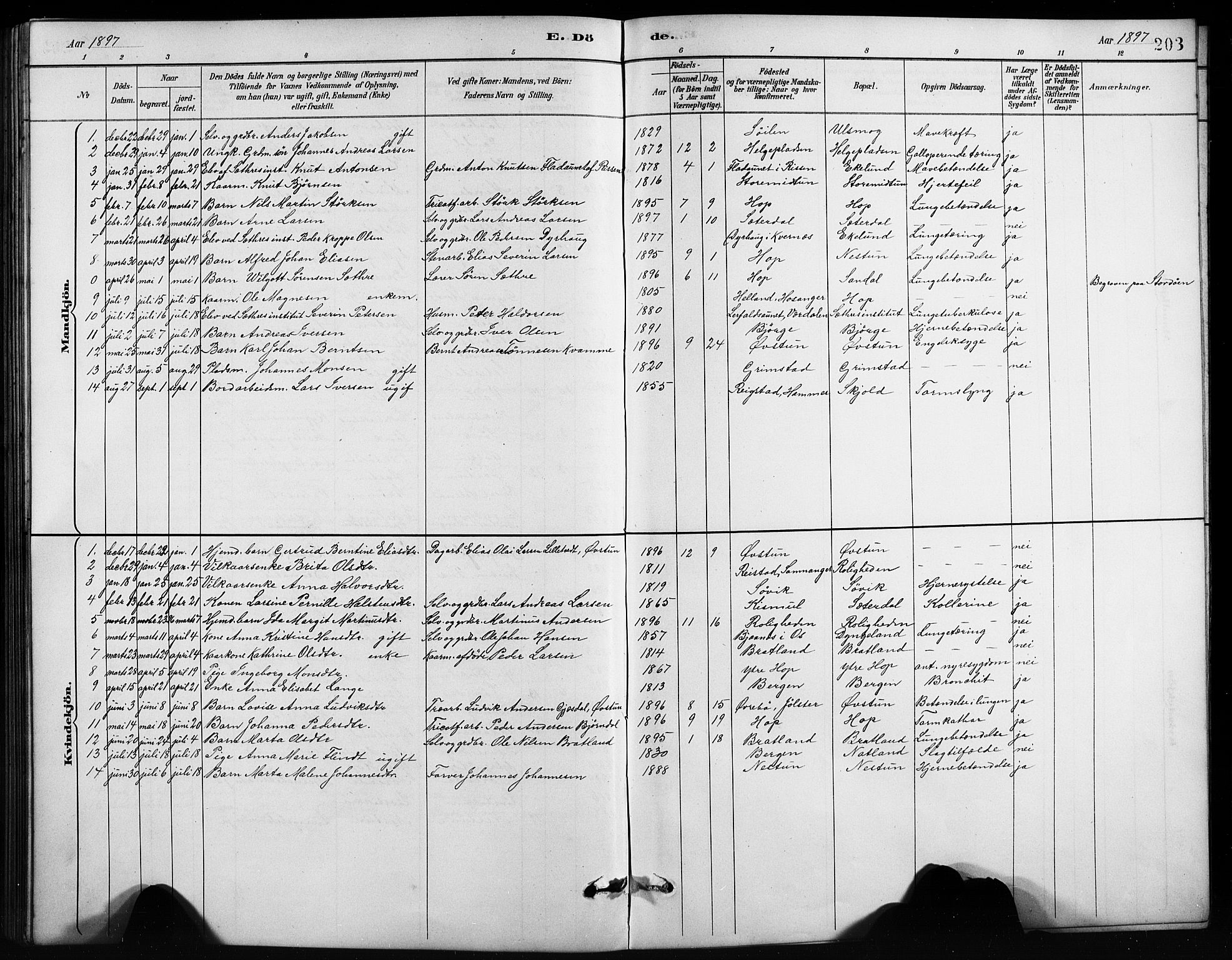 Birkeland Sokneprestembete, SAB/A-74601/H/Hab: Parish register (copy) no. A 4, 1888-1897, p. 203