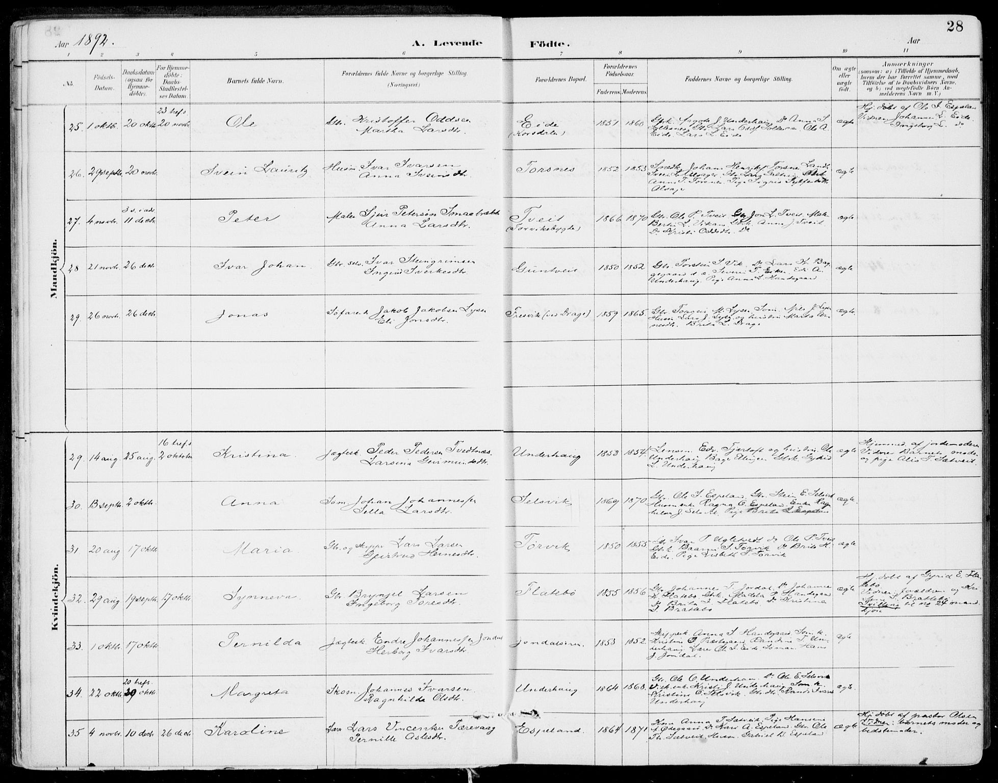 Strandebarm sokneprestembete, SAB/A-78401/H/Haa: Parish register (official) no. E  1, 1886-1908, p. 28