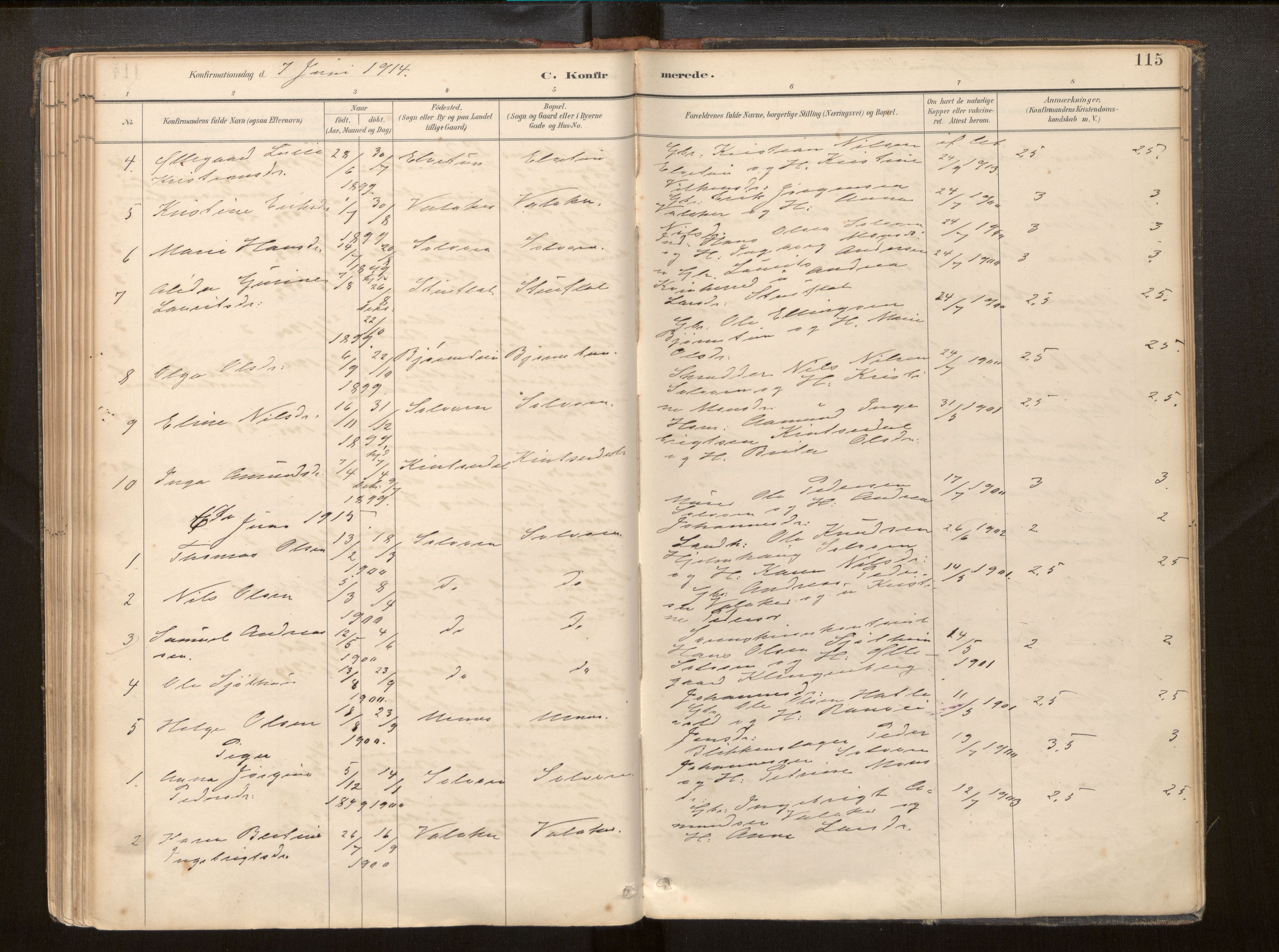 Hafslo sokneprestembete, SAB/A-80301/H/Haa/Haac/L0001: Parish register (official) no. C 1, 1886-1944, p. 115