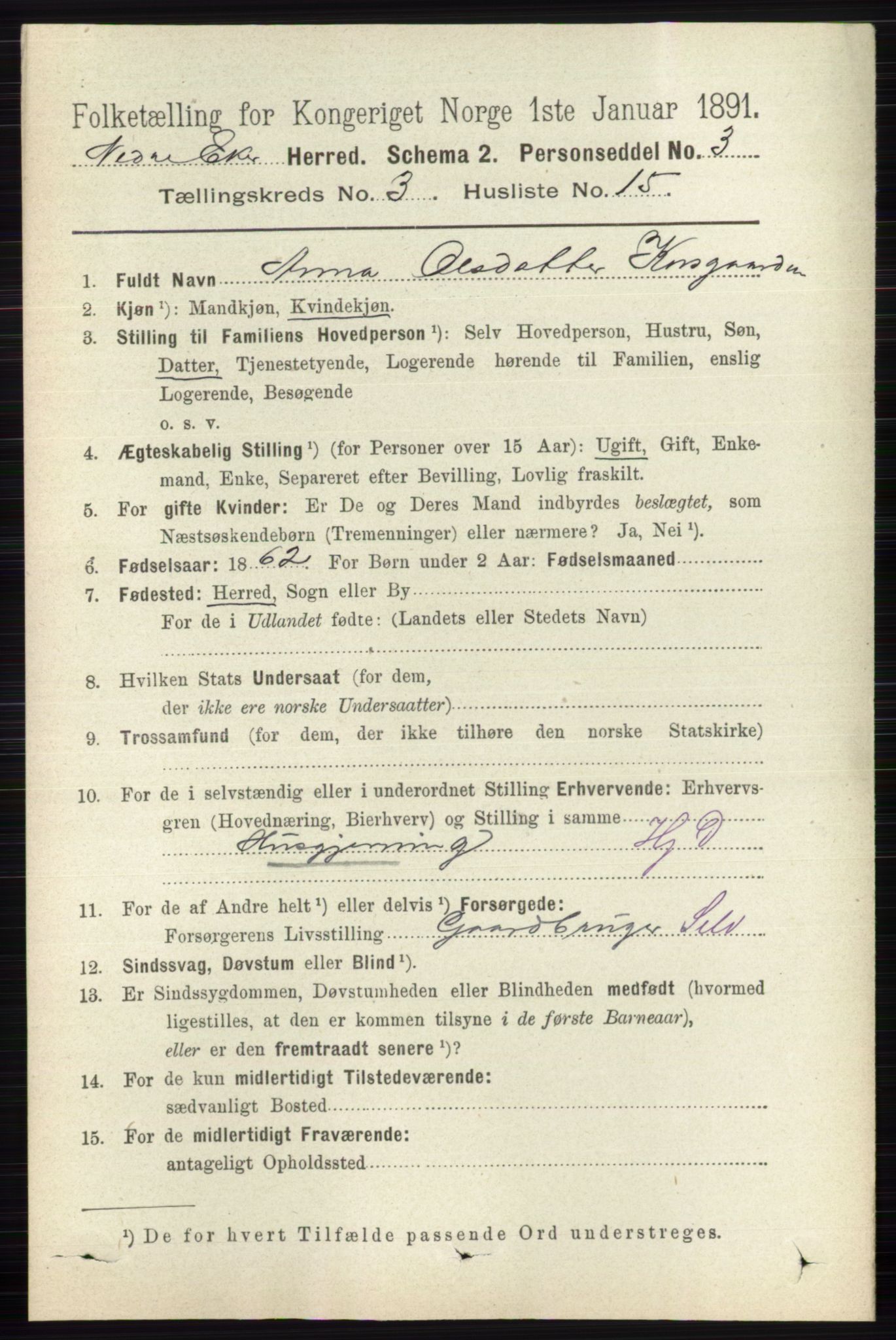 RA, 1891 census for 0625 Nedre Eiker, 1891, p. 1260