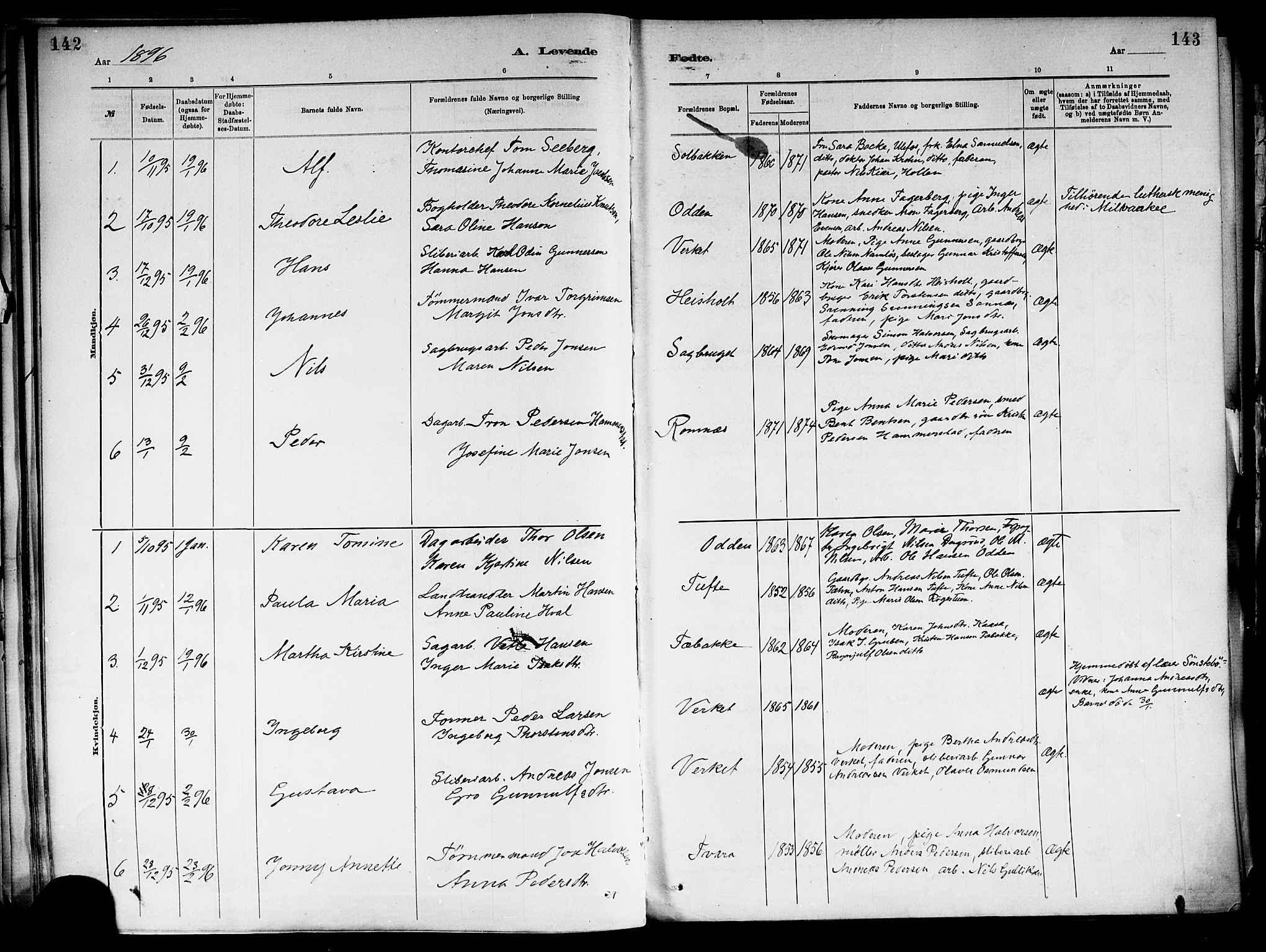Holla kirkebøker, SAKO/A-272/F/Fa/L0008: Parish register (official) no. 8, 1882-1897, p. 142