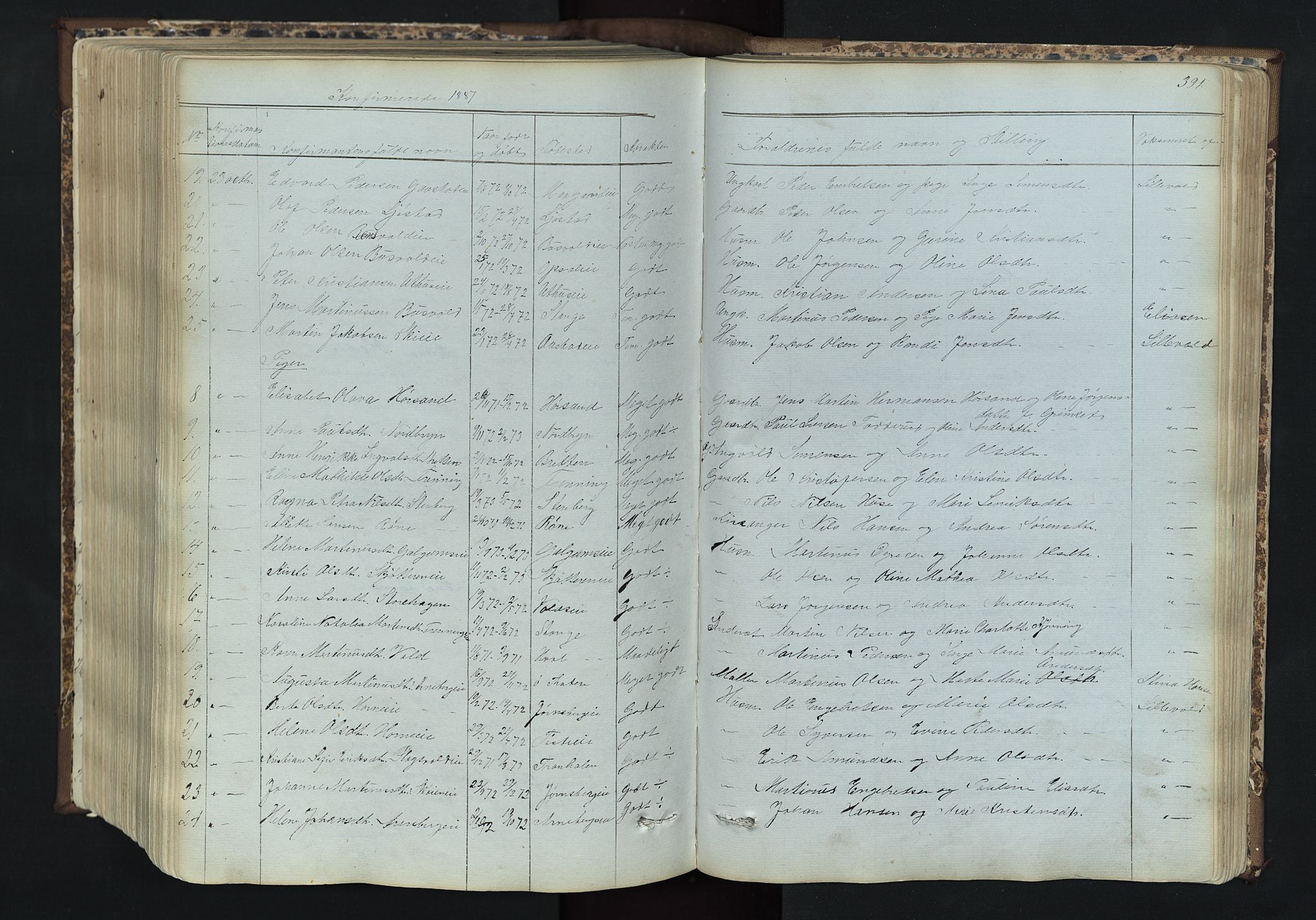 Romedal prestekontor, AV/SAH-PREST-004/L/L0011: Parish register (copy) no. 11, 1867-1895, p. 391