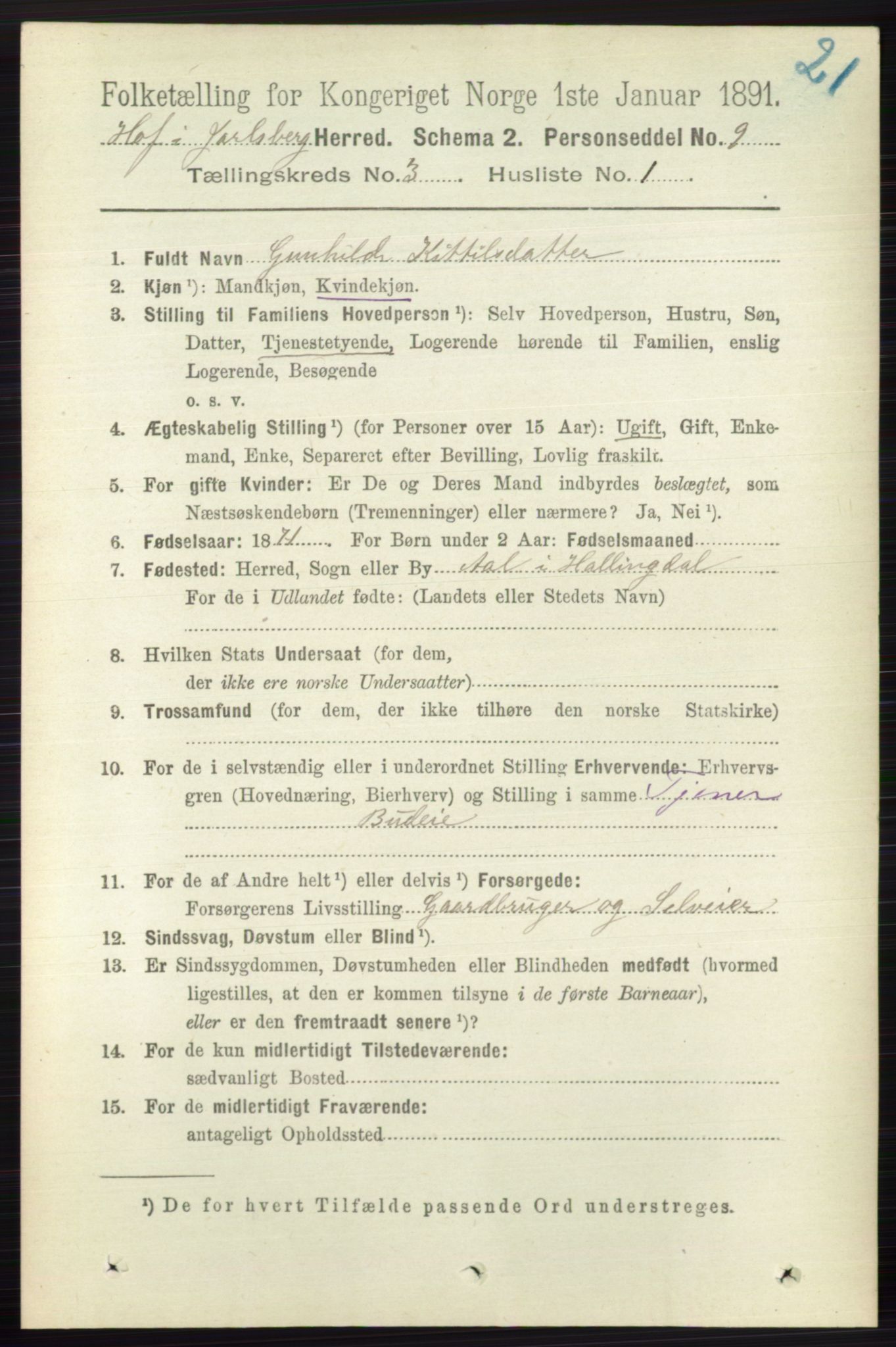 RA, 1891 census for 0714 Hof, 1891, p. 889