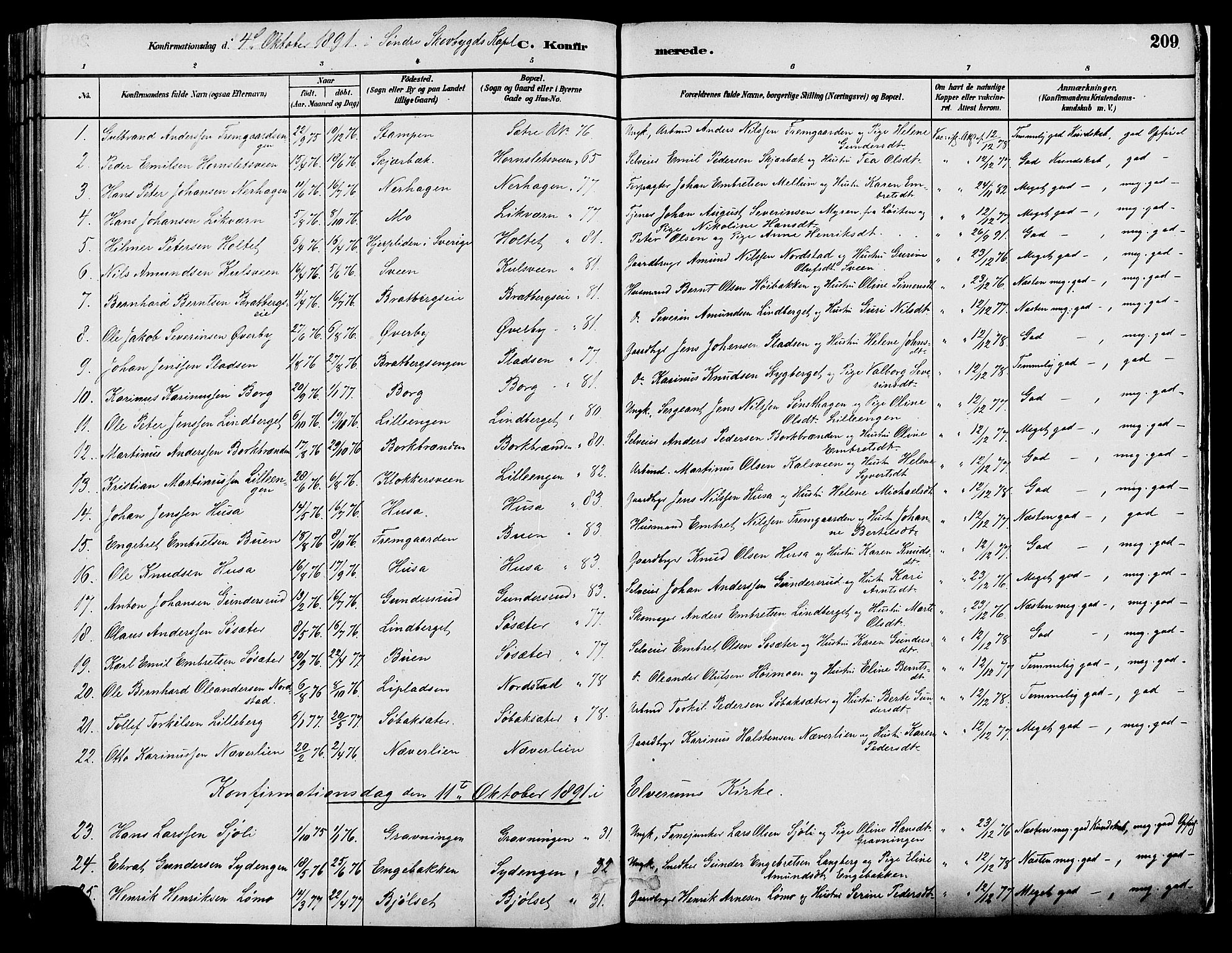 Elverum prestekontor, AV/SAH-PREST-044/H/Ha/Haa/L0013: Parish register (official) no. 13, 1880-1890, p. 209