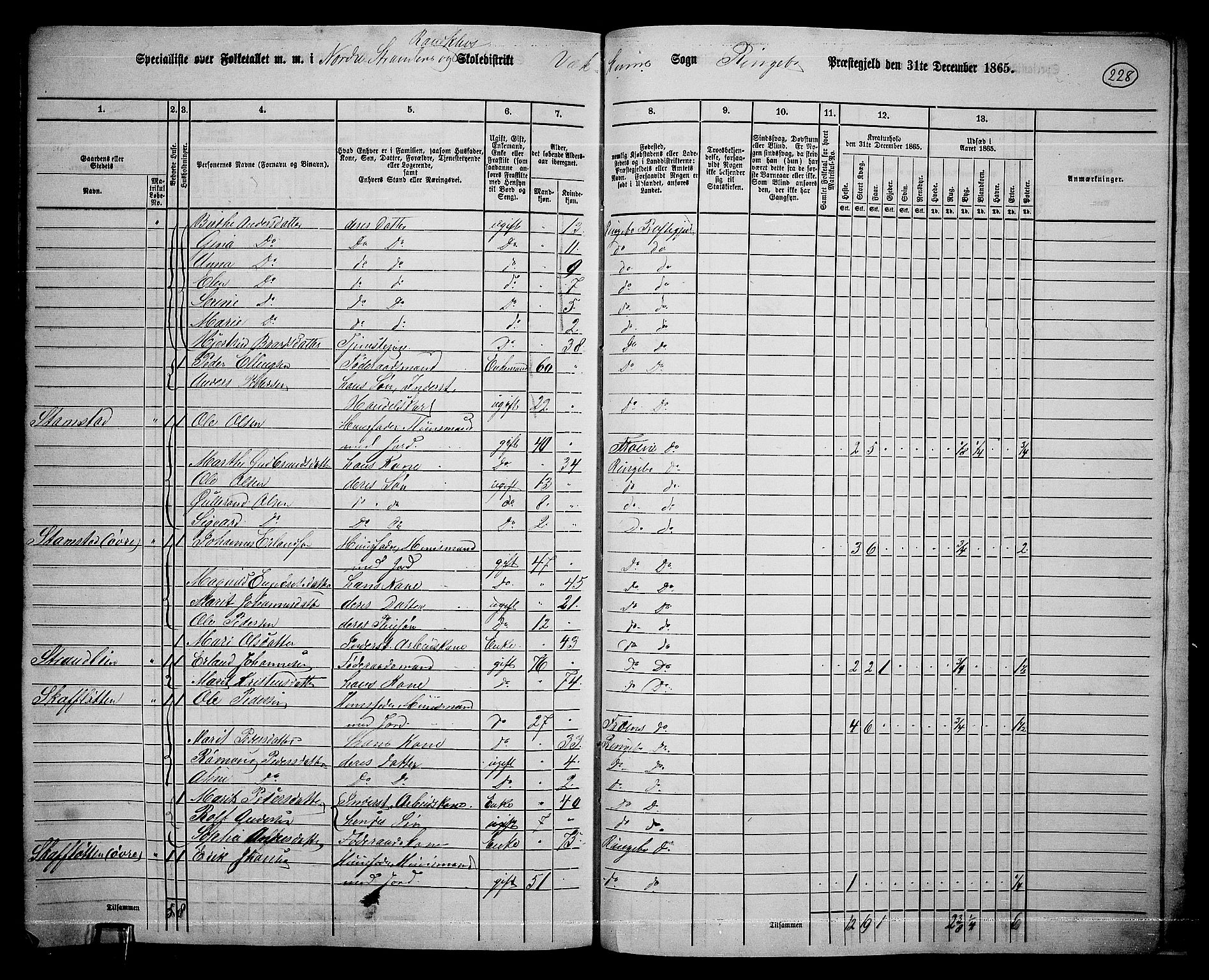 RA, 1865 census for Ringebu, 1865, p. 199