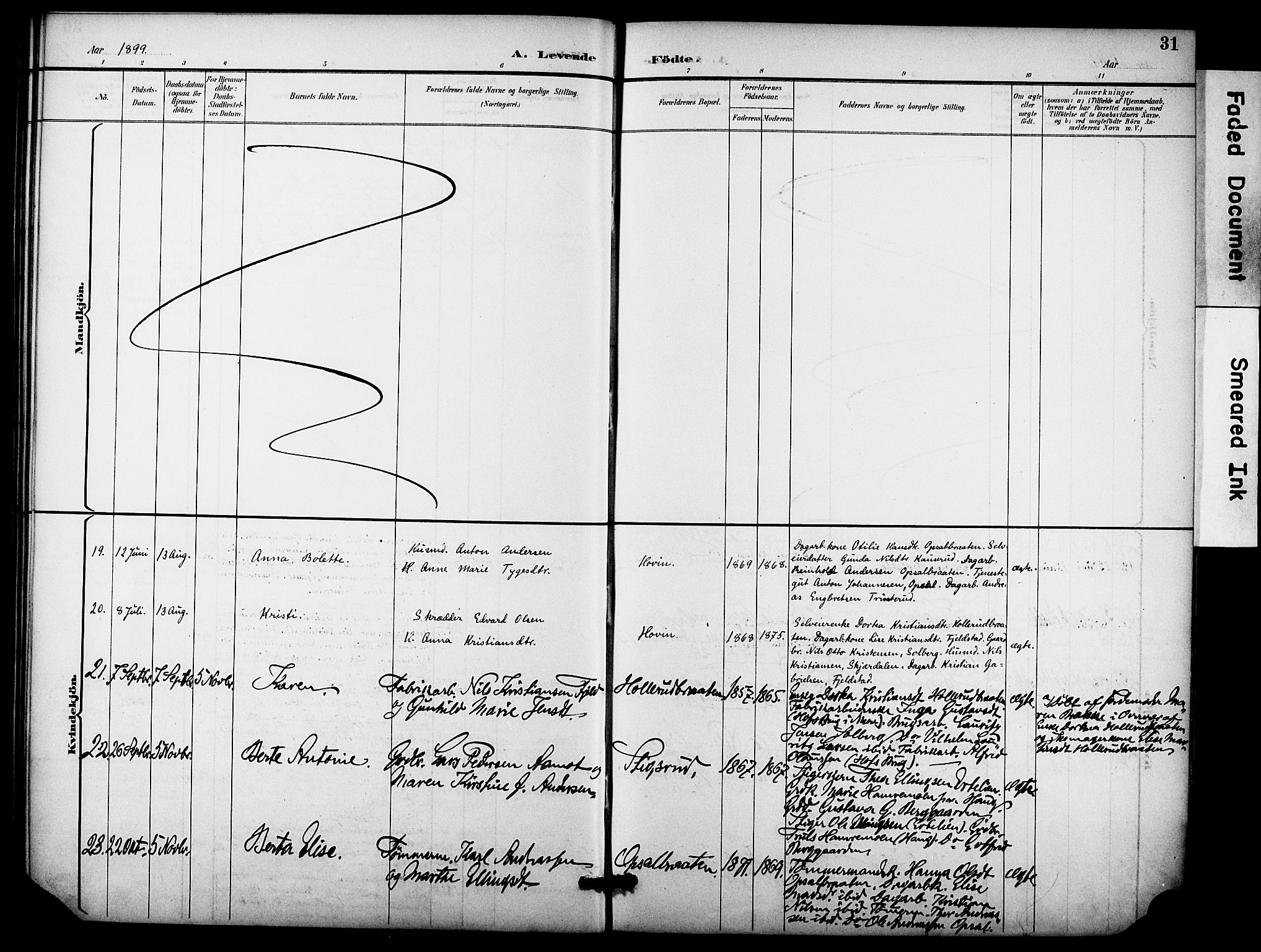 Hole kirkebøker, AV/SAKO-A-228/F/Fb/L0002: Parish register (official) no. II 2, 1892-1906, p. 31