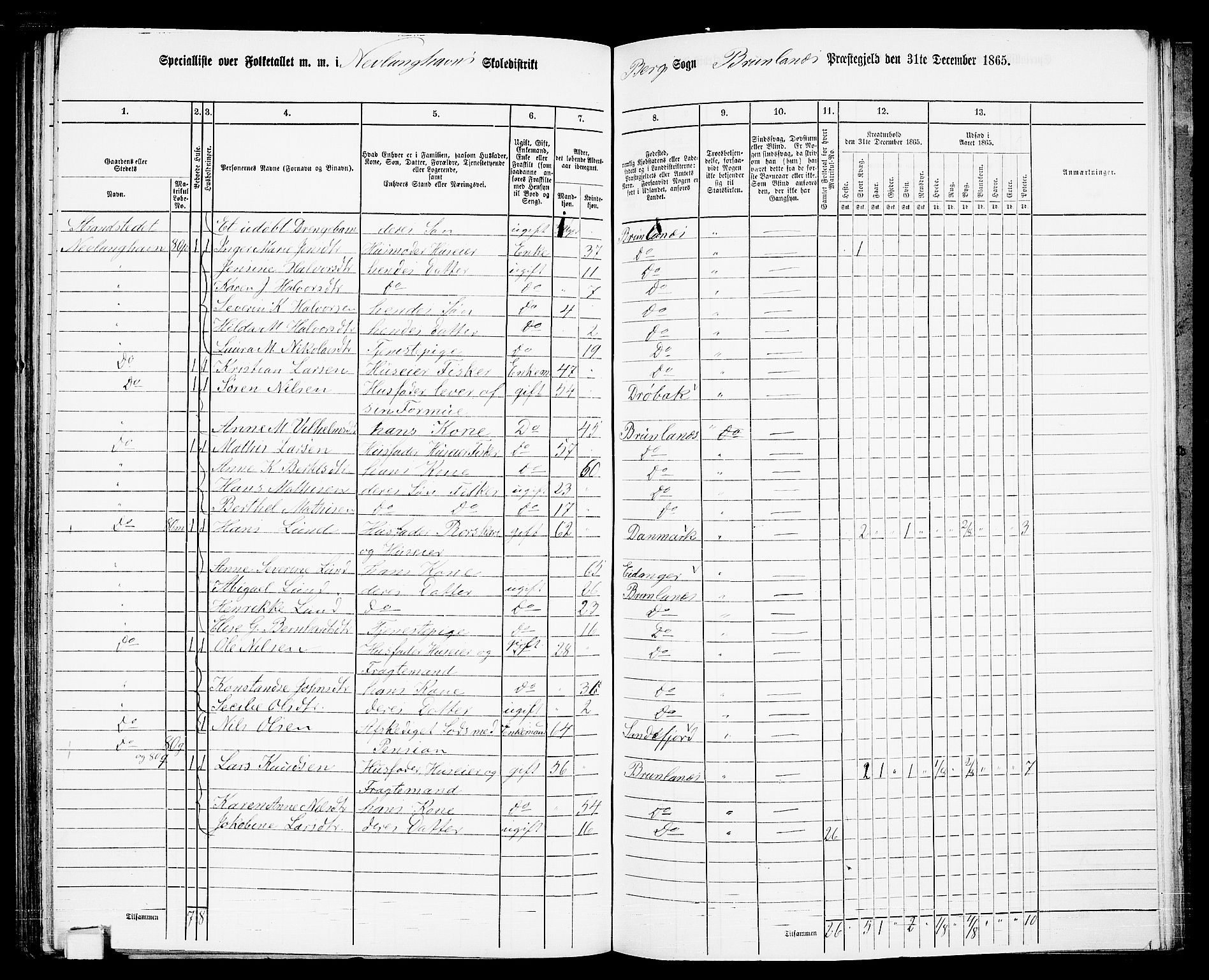 RA, 1865 census for Brunlanes, 1865, p. 147