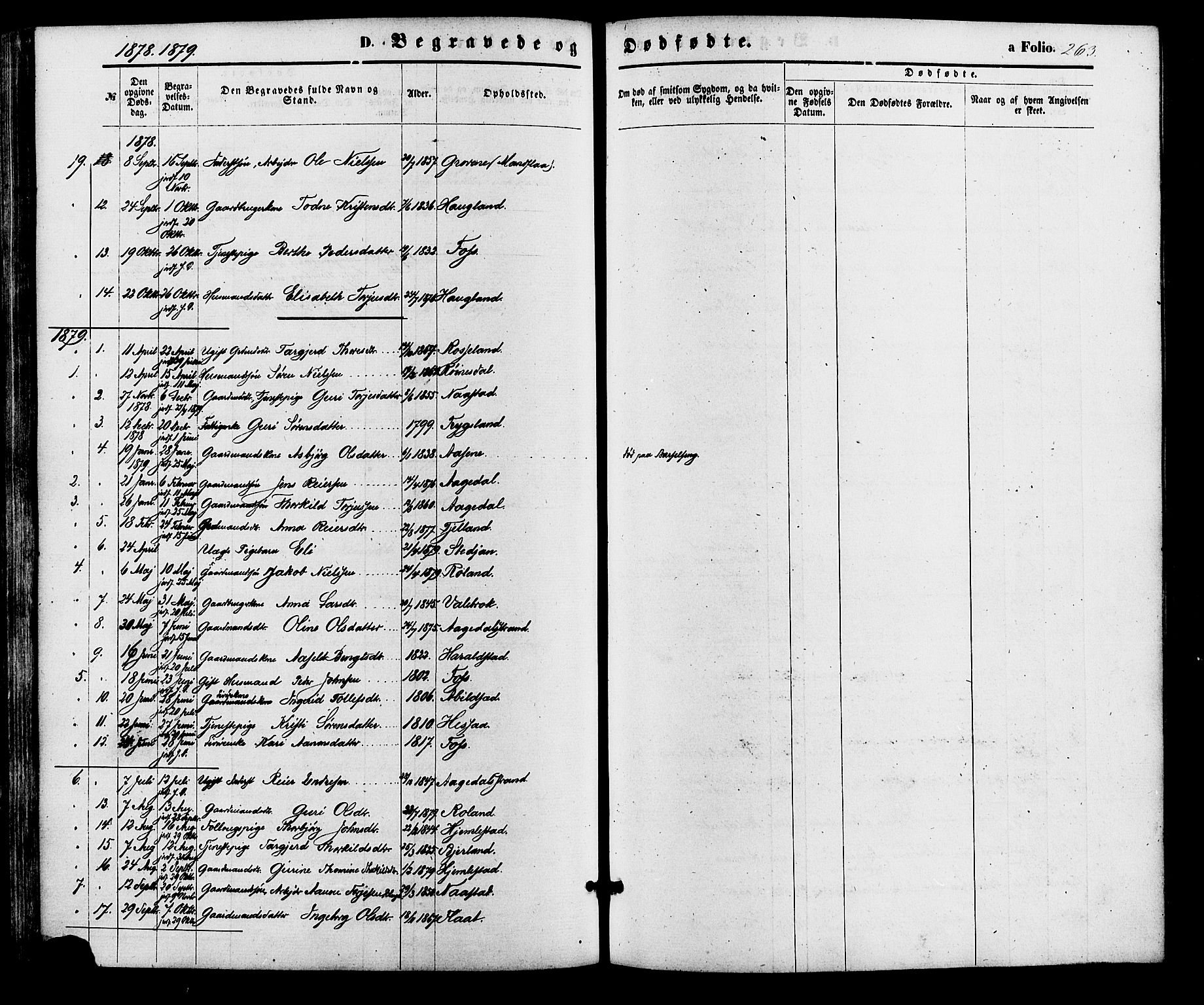 Bjelland sokneprestkontor, SAK/1111-0005/F/Fa/Faa/L0003: Parish register (official) no. A 3, 1867-1887, p. 263