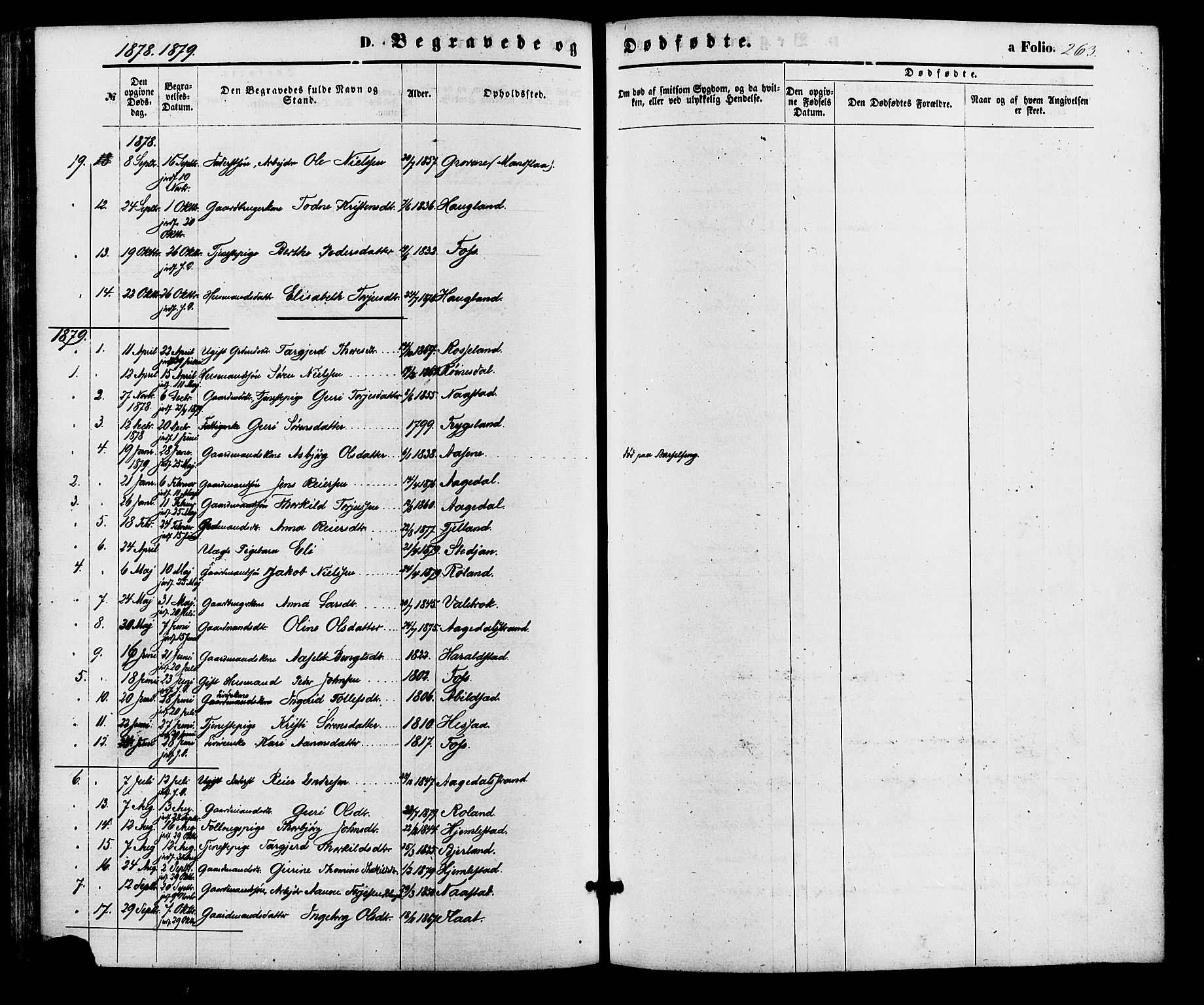 Bjelland sokneprestkontor, AV/SAK-1111-0005/F/Fa/Faa/L0003: Parish register (official) no. A 3, 1867-1887, p. 263