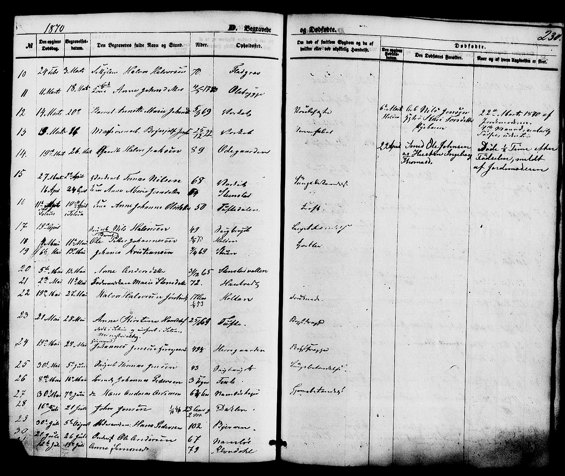 Holla kirkebøker, AV/SAKO-A-272/F/Fa/L0007: Parish register (official) no. 7, 1869-1881, p. 230