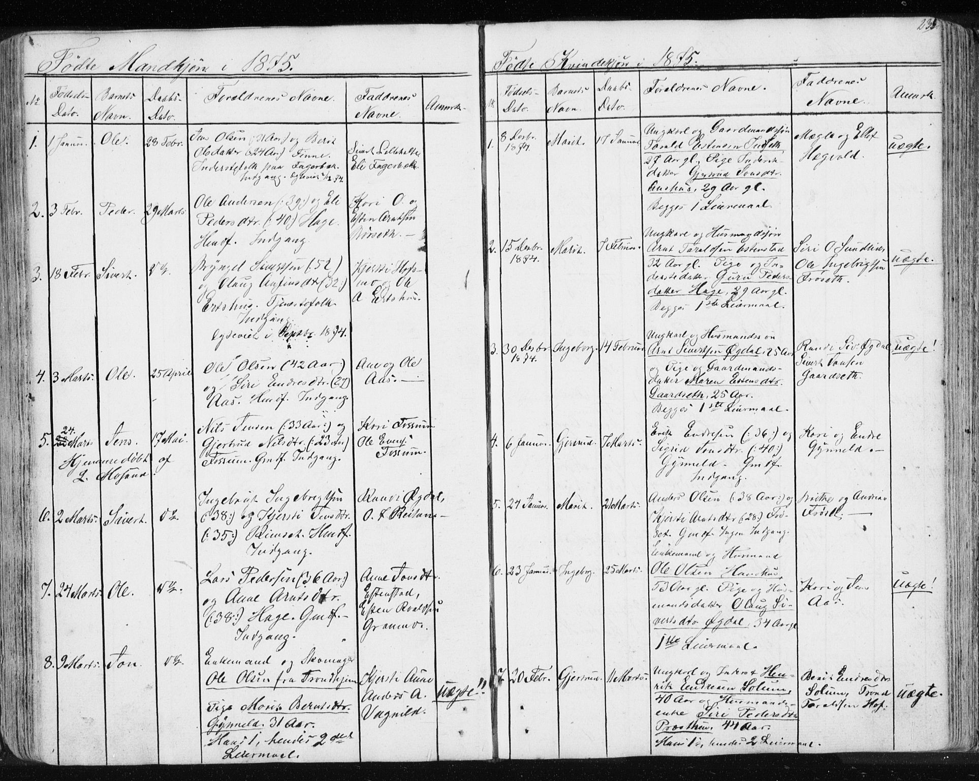 Ministerialprotokoller, klokkerbøker og fødselsregistre - Sør-Trøndelag, SAT/A-1456/689/L1043: Parish register (copy) no. 689C02, 1816-1892, p. 235