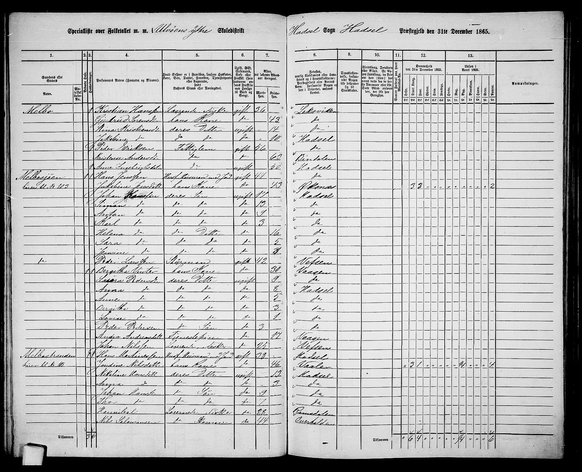 RA, 1865 census for Hadsel, 1865, p. 100