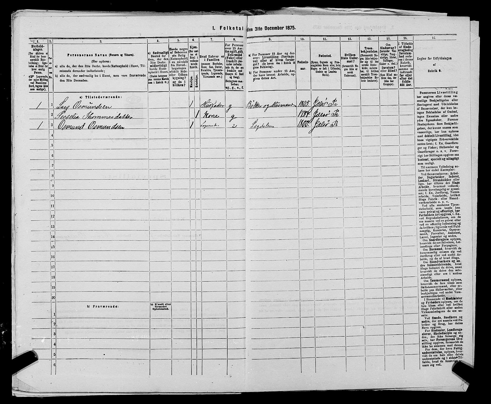 SAST, 1875 census for 1138P Jelsa, 1875, p. 111