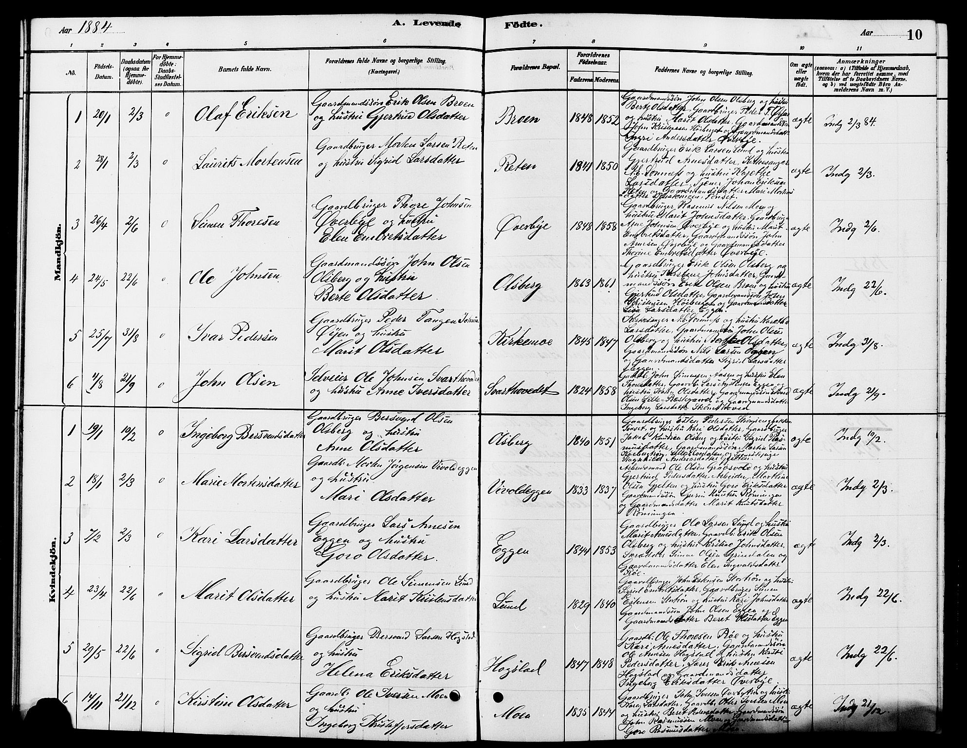 Tynset prestekontor, SAH/PREST-058/H/Ha/Hab/L0007: Parish register (copy) no. 7, 1880-1901, p. 10