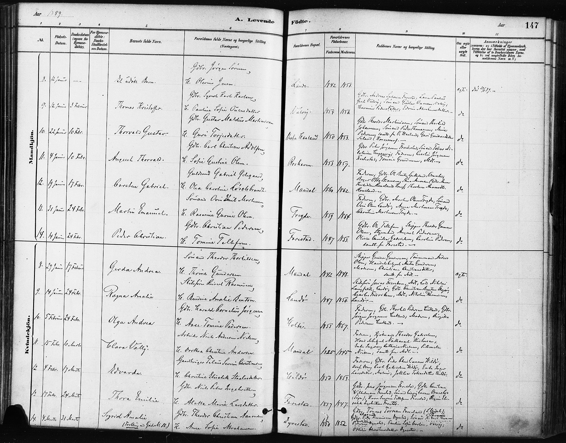 Mandal sokneprestkontor, SAK/1111-0030/F/Fa/Faa/L0016: Parish register (official) no. A 16, 1880-1890, p. 147