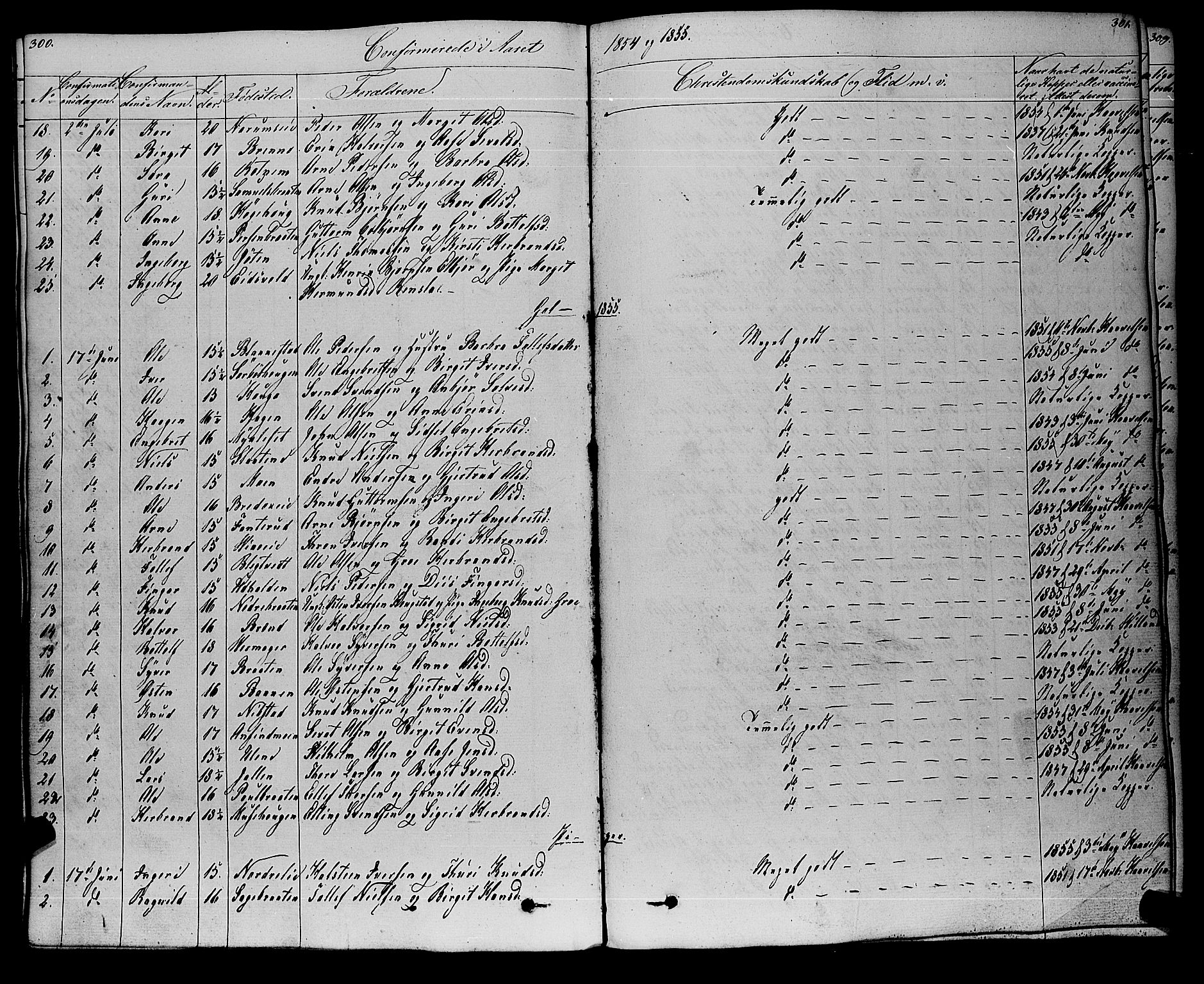 Gol kirkebøker, SAKO/A-226/F/Fa/L0002: Parish register (official) no. I 2, 1837-1863, p. 300-301